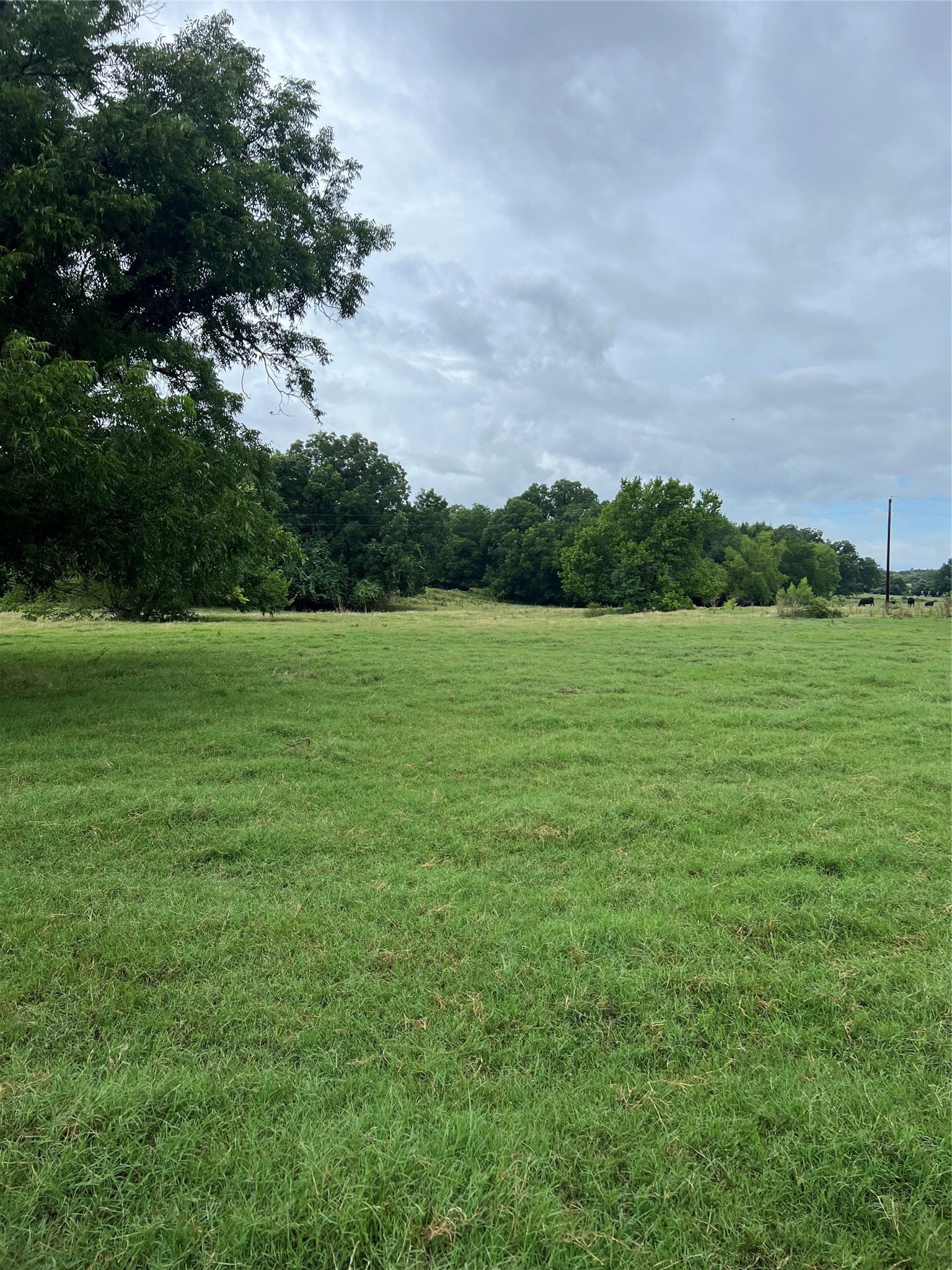 Tbd Abel Lane Boyd TX 76023