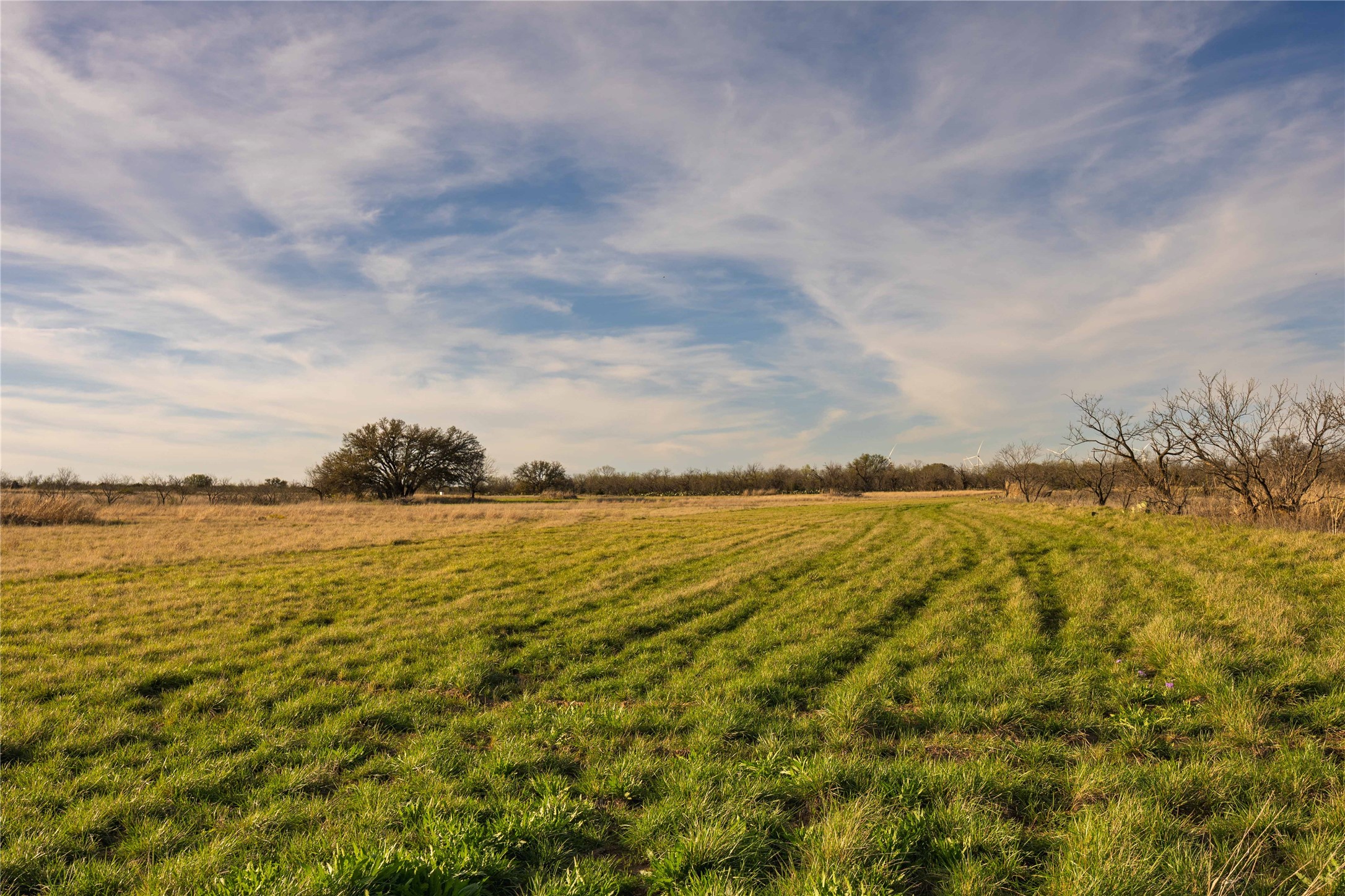 3873 N Us Highway 87 Brady TX 76825
