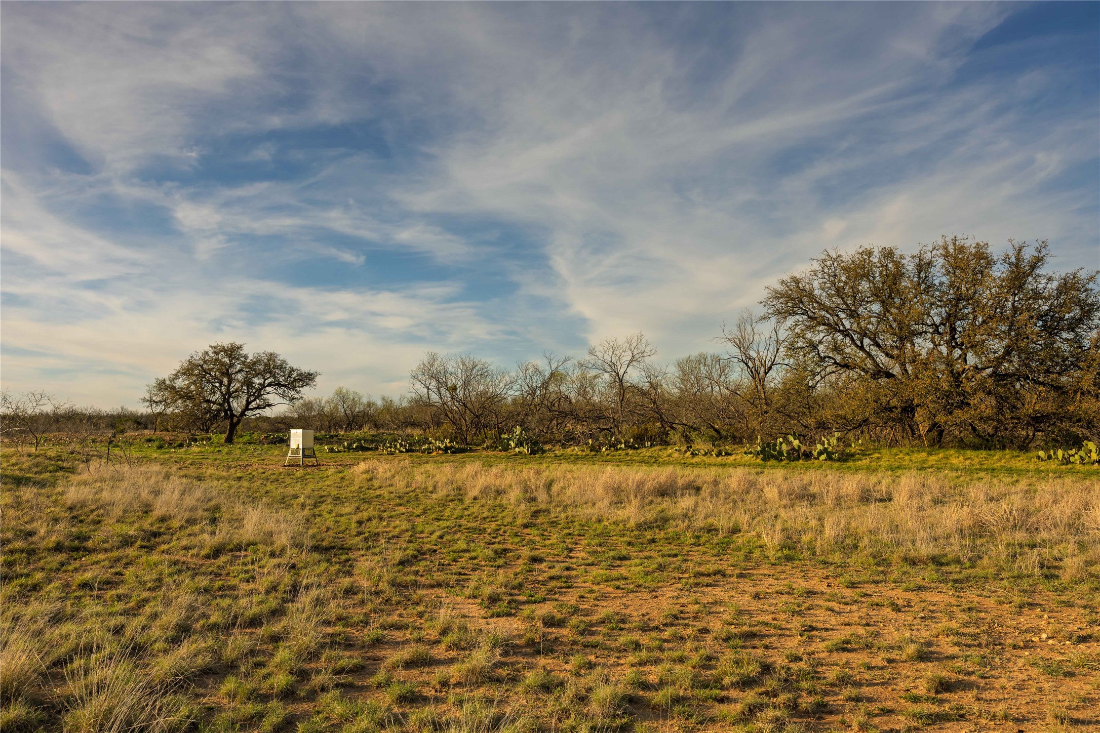 3873 N Us Highway 87 Brady TX 76825