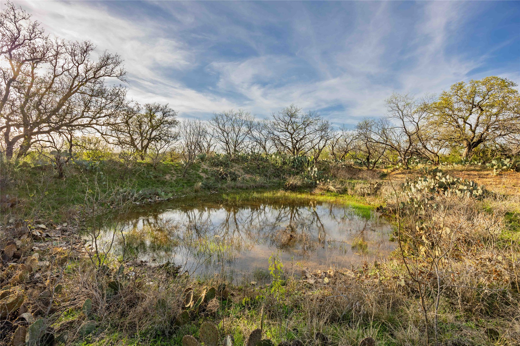 3873 N Us Highway 87 Brady TX 76825