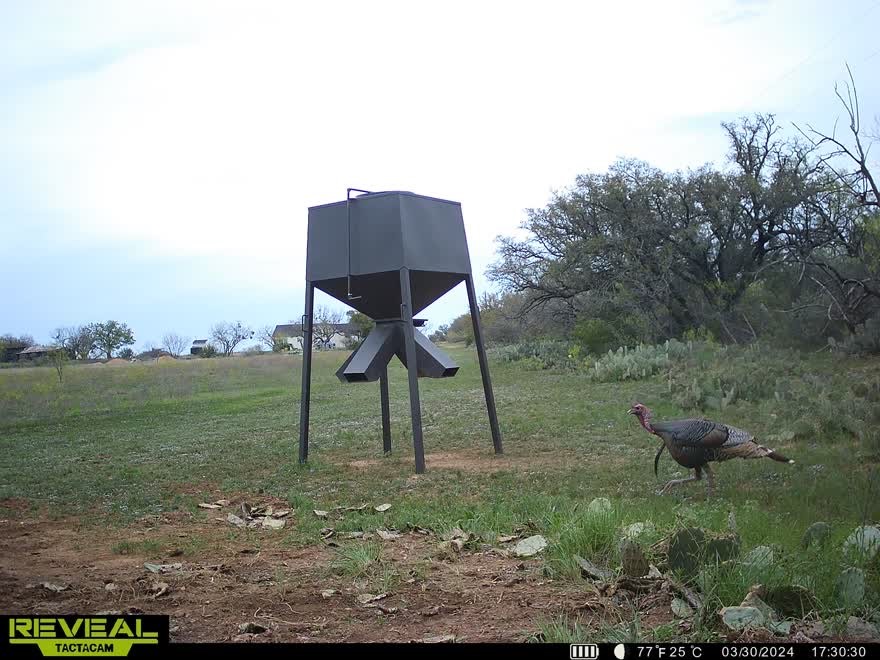 3873 N Us Highway 87 Brady TX 76825