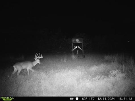 3873 N Us Highway 87 Brady TX 76825