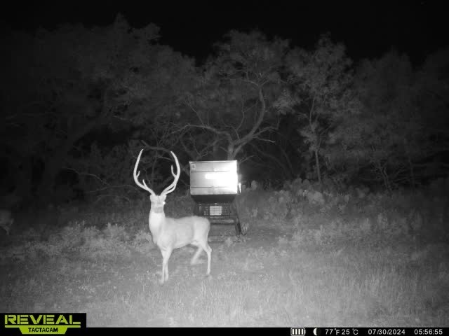 3873 N Us Highway 87 Brady TX 76825
