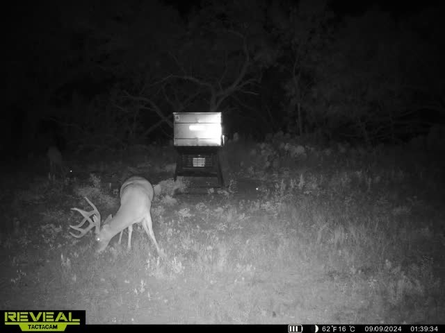 3873 N Us Highway 87 Brady TX 76825