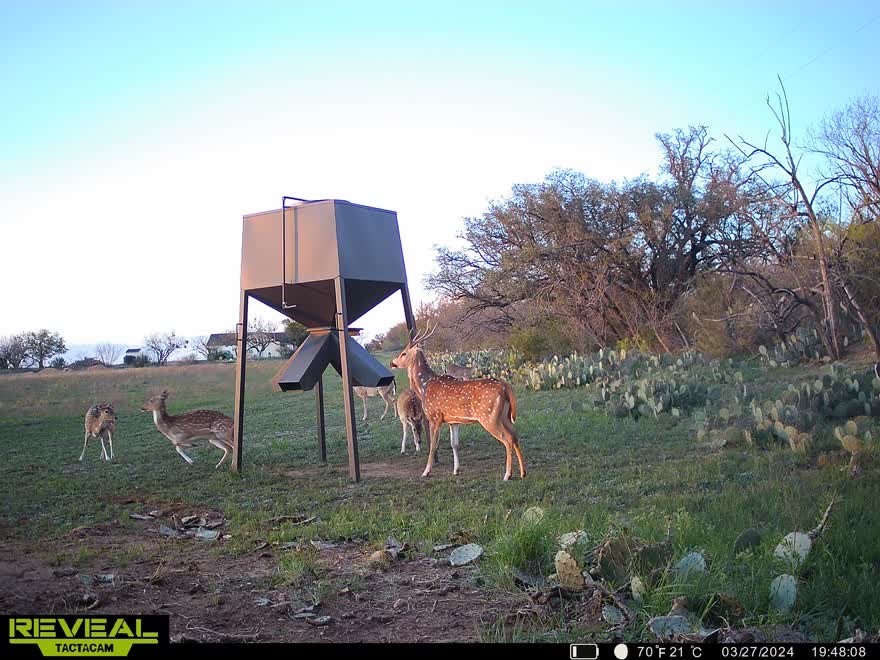 3873 N Us Highway 87 Brady TX 76825