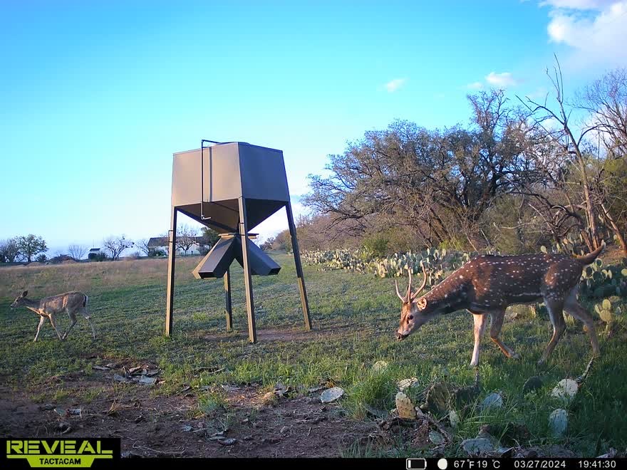 3873 N Us Highway 87 Brady TX 76825