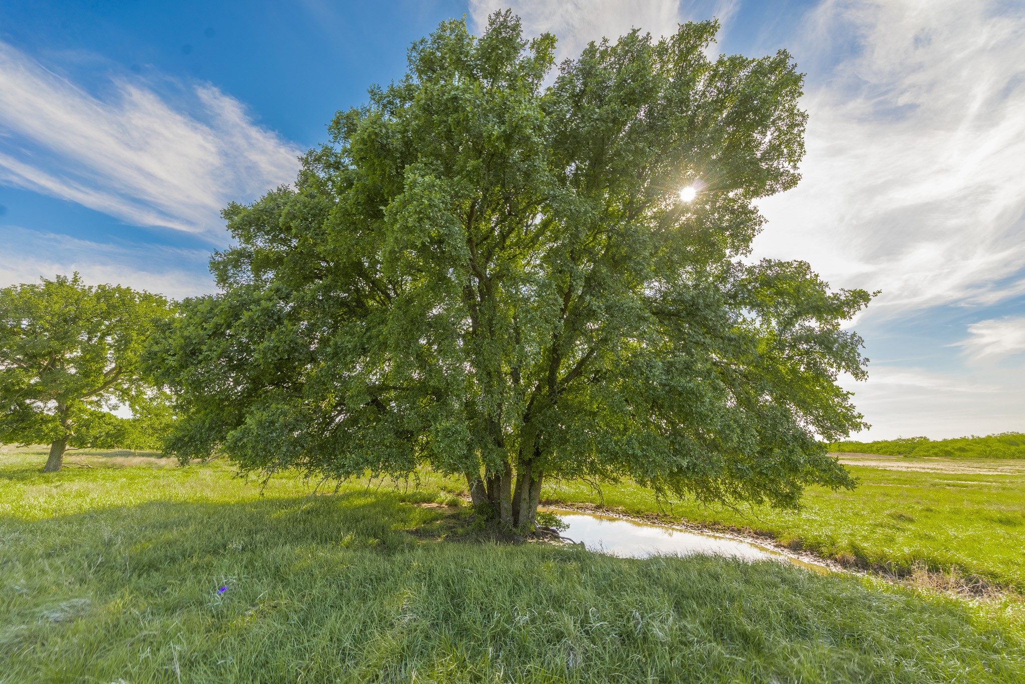Tbd C.r. 132 Coleman TX 76834