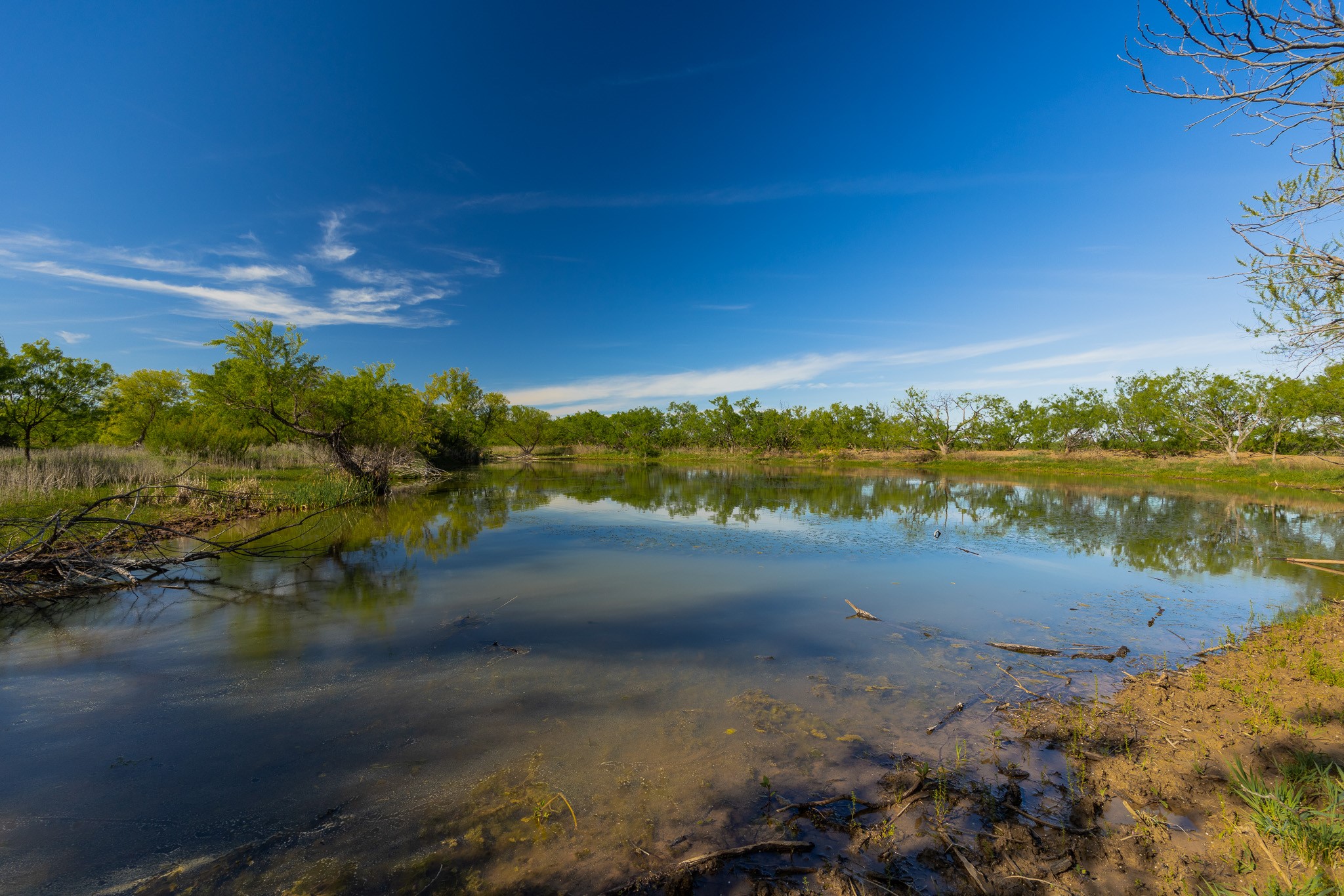 Tbd C.r. 132 Coleman TX 76834