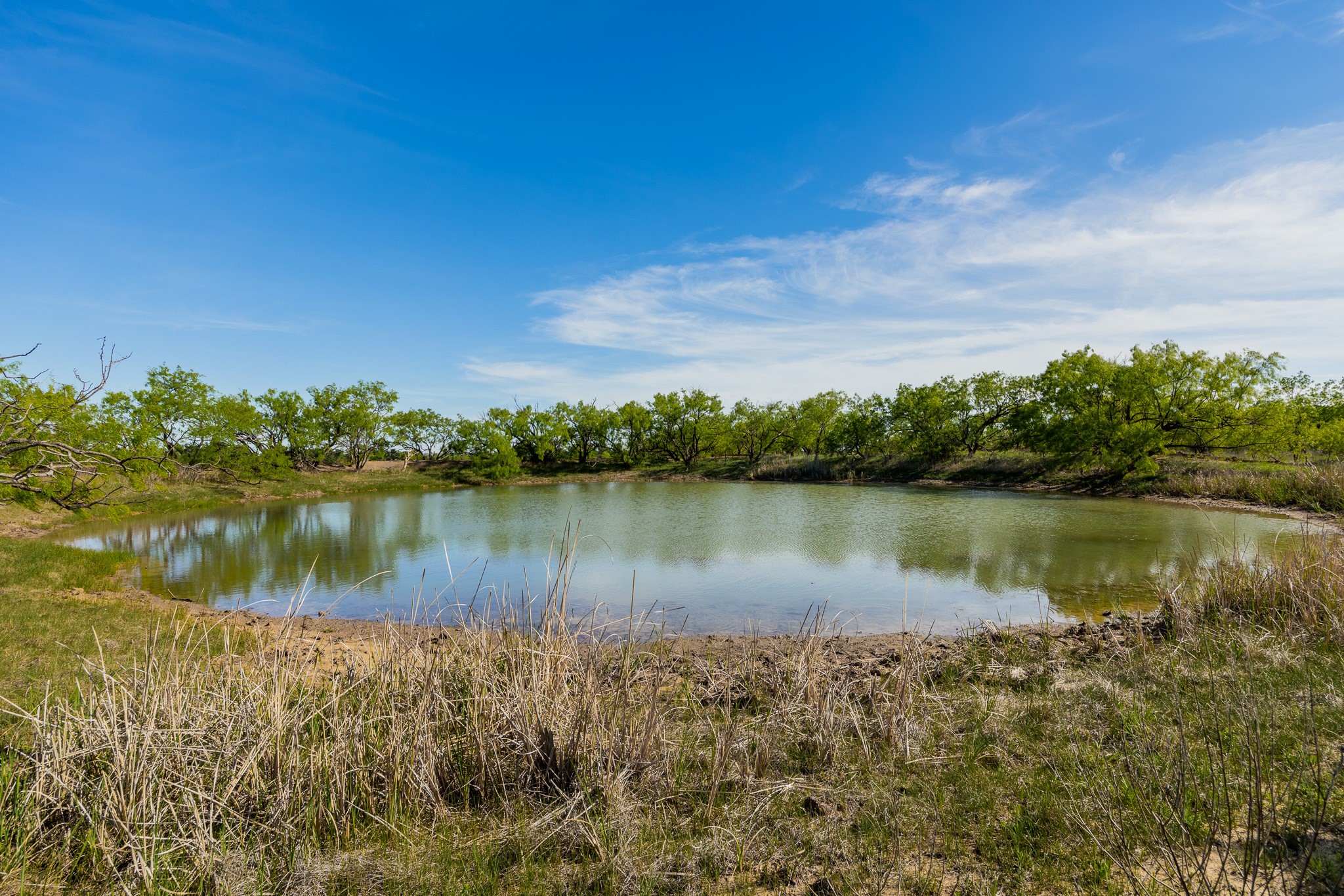 Tbd C.r. 132 Coleman TX 76834
