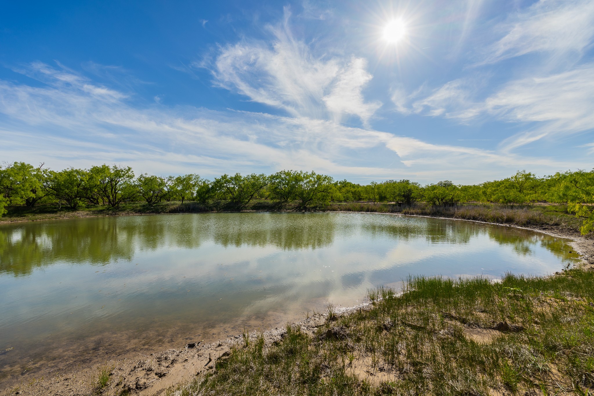 Tbd C.r. 132 Coleman TX 76834