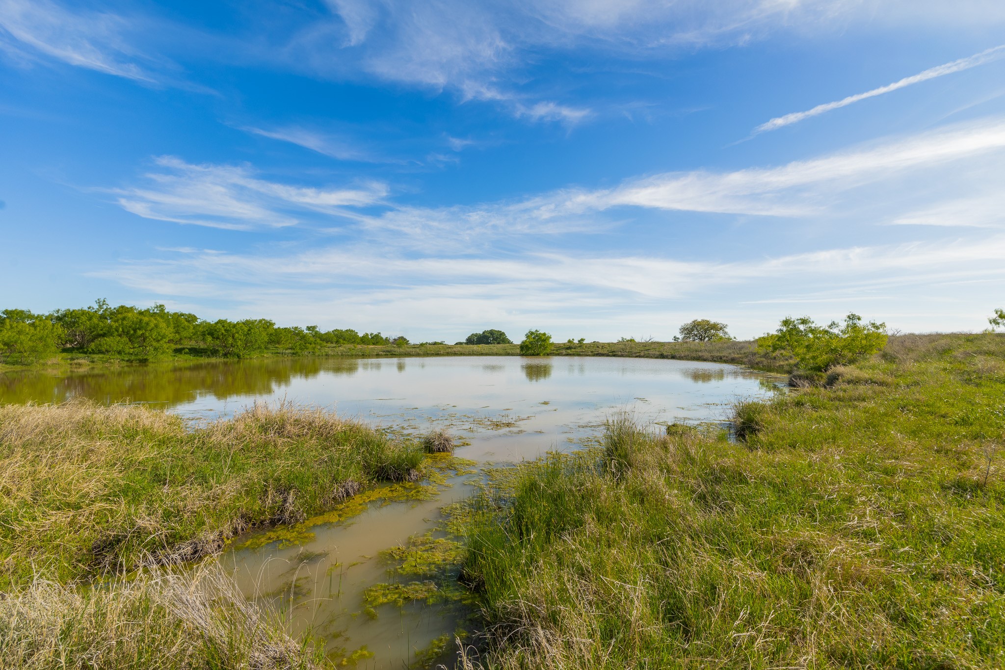 Tbd C.r. 132 Coleman TX 76834