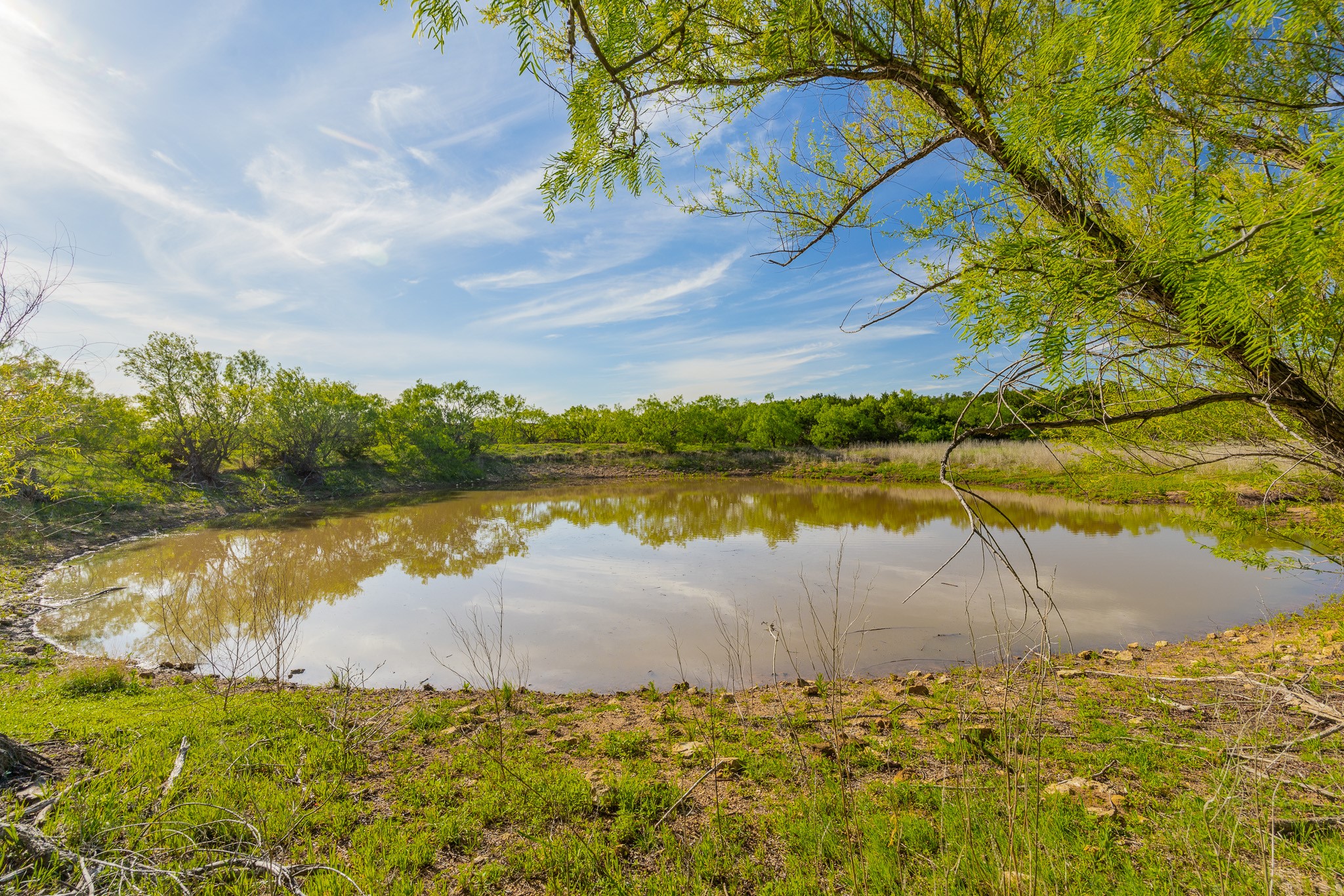 Tbd C.r. 132 Coleman TX 76834