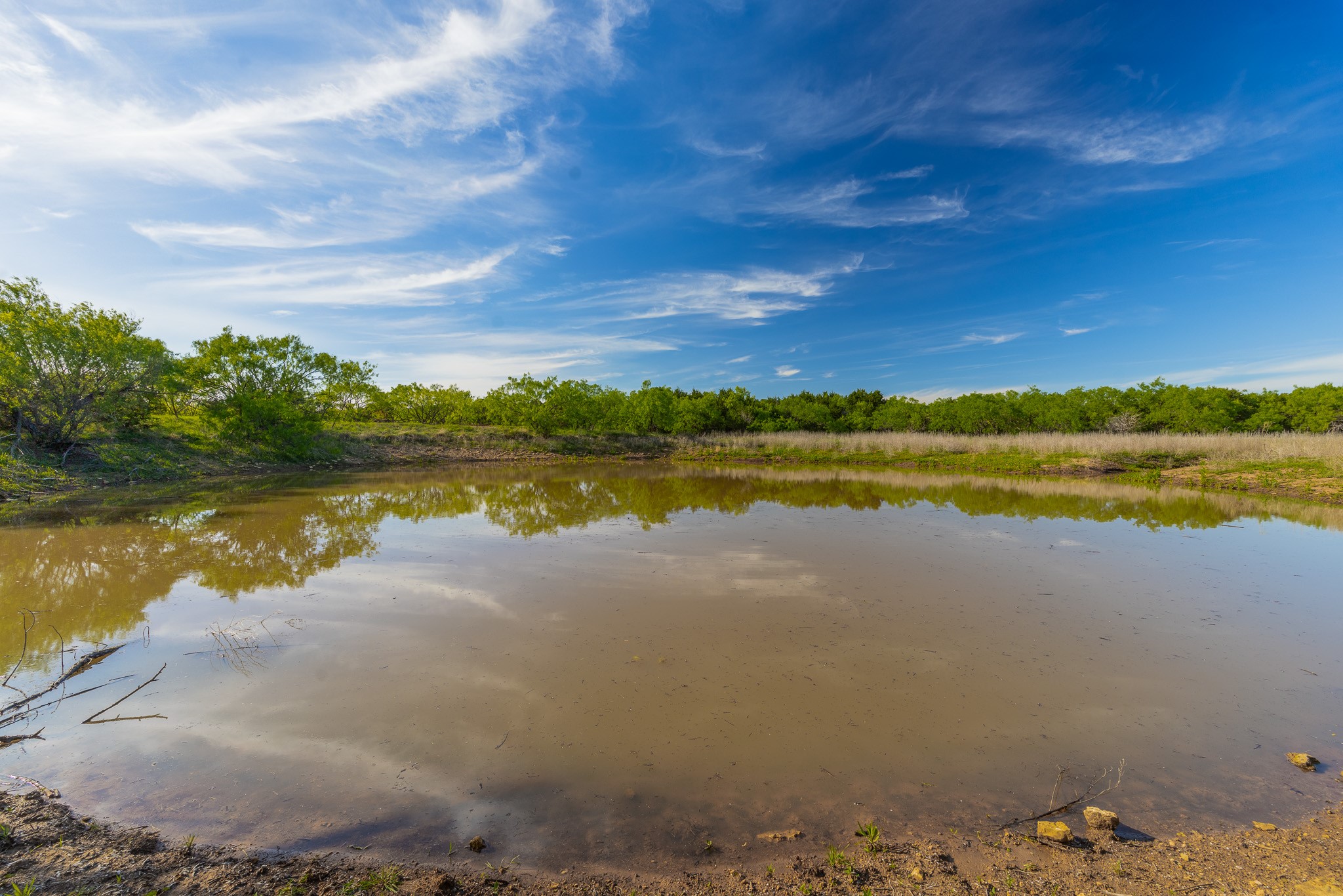 Tbd C.r. 132 Coleman TX 76834