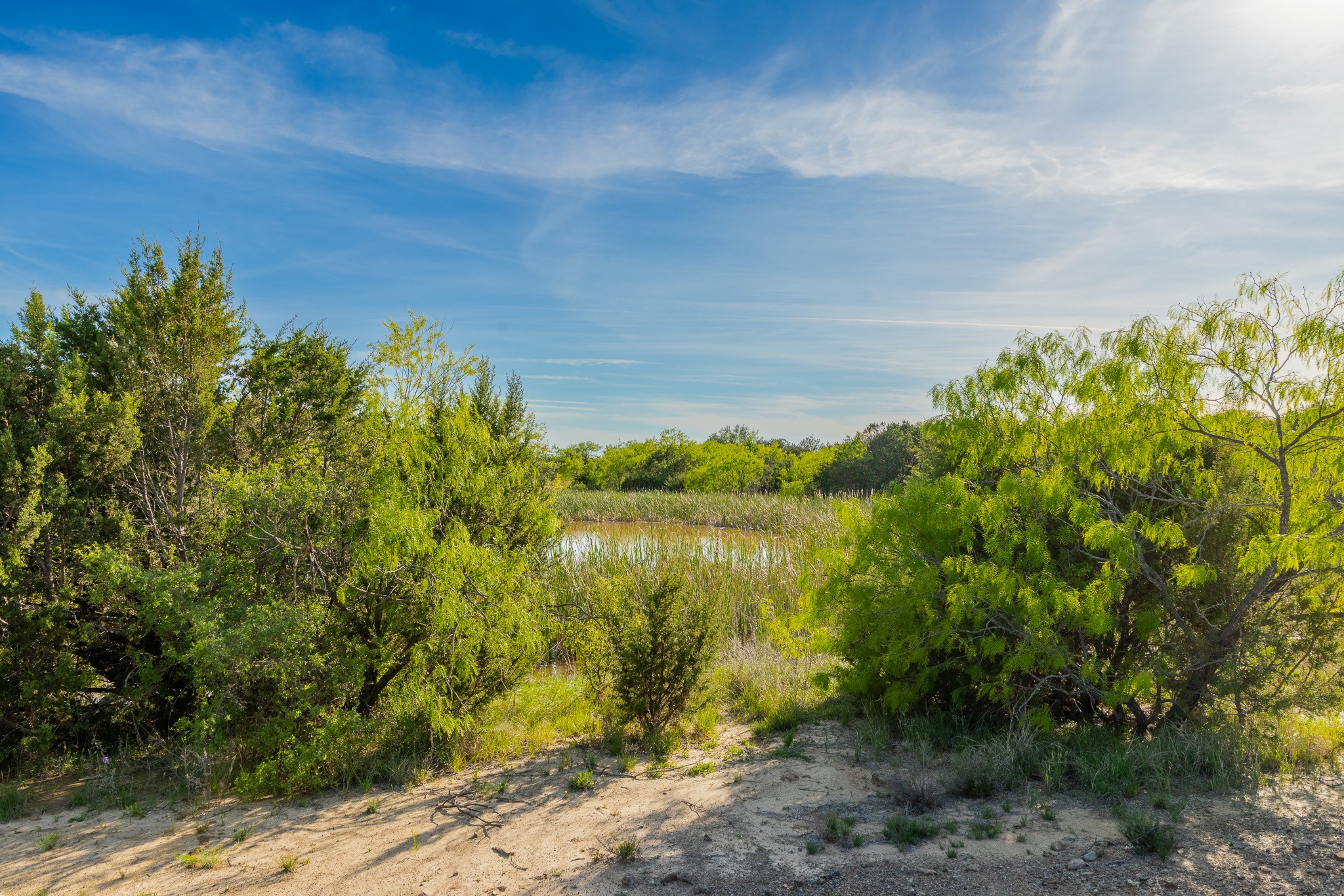 Tbd C.r. 132 Coleman TX 76834