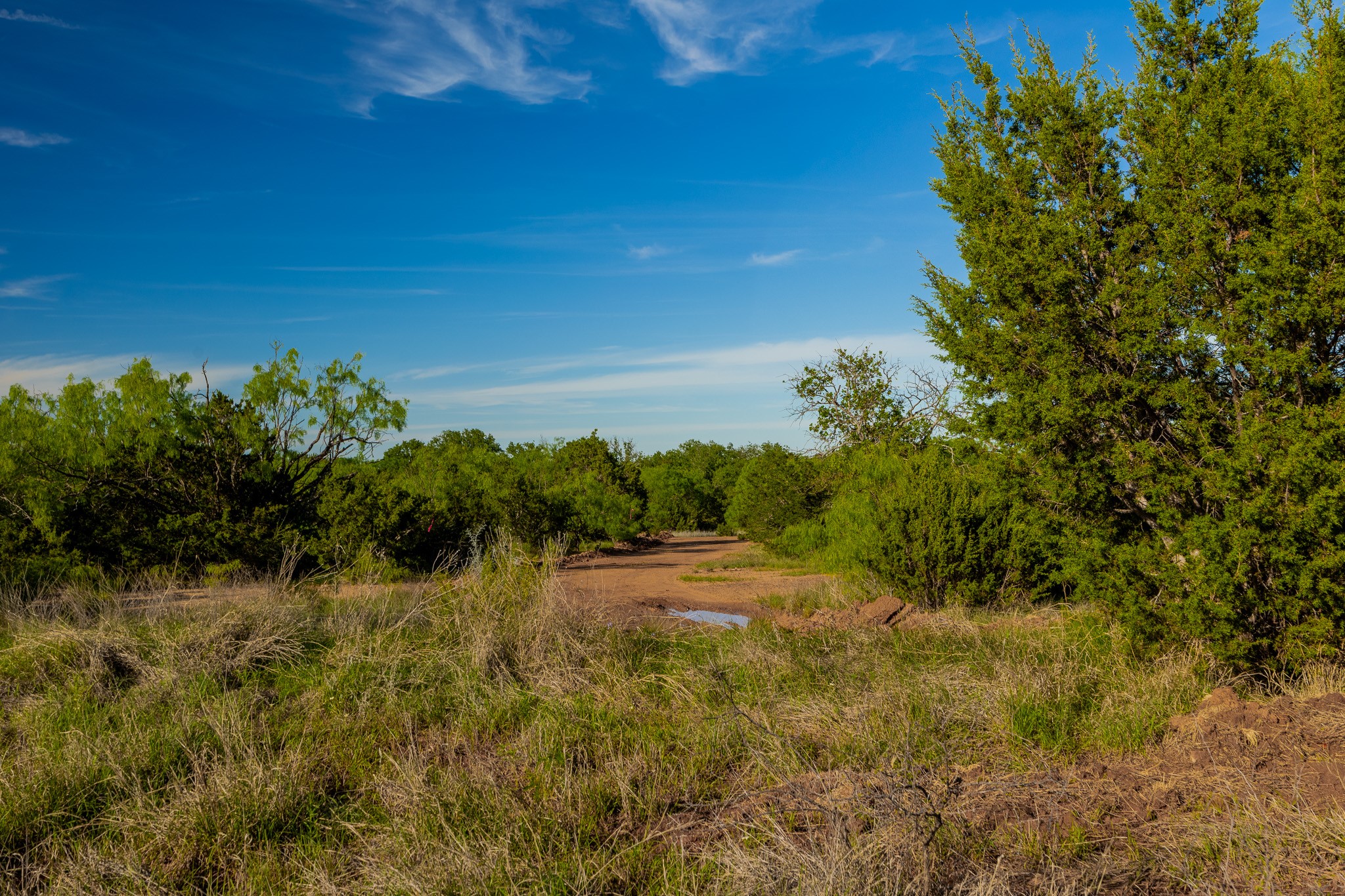 Tbd C.r. 132 Coleman TX 76834