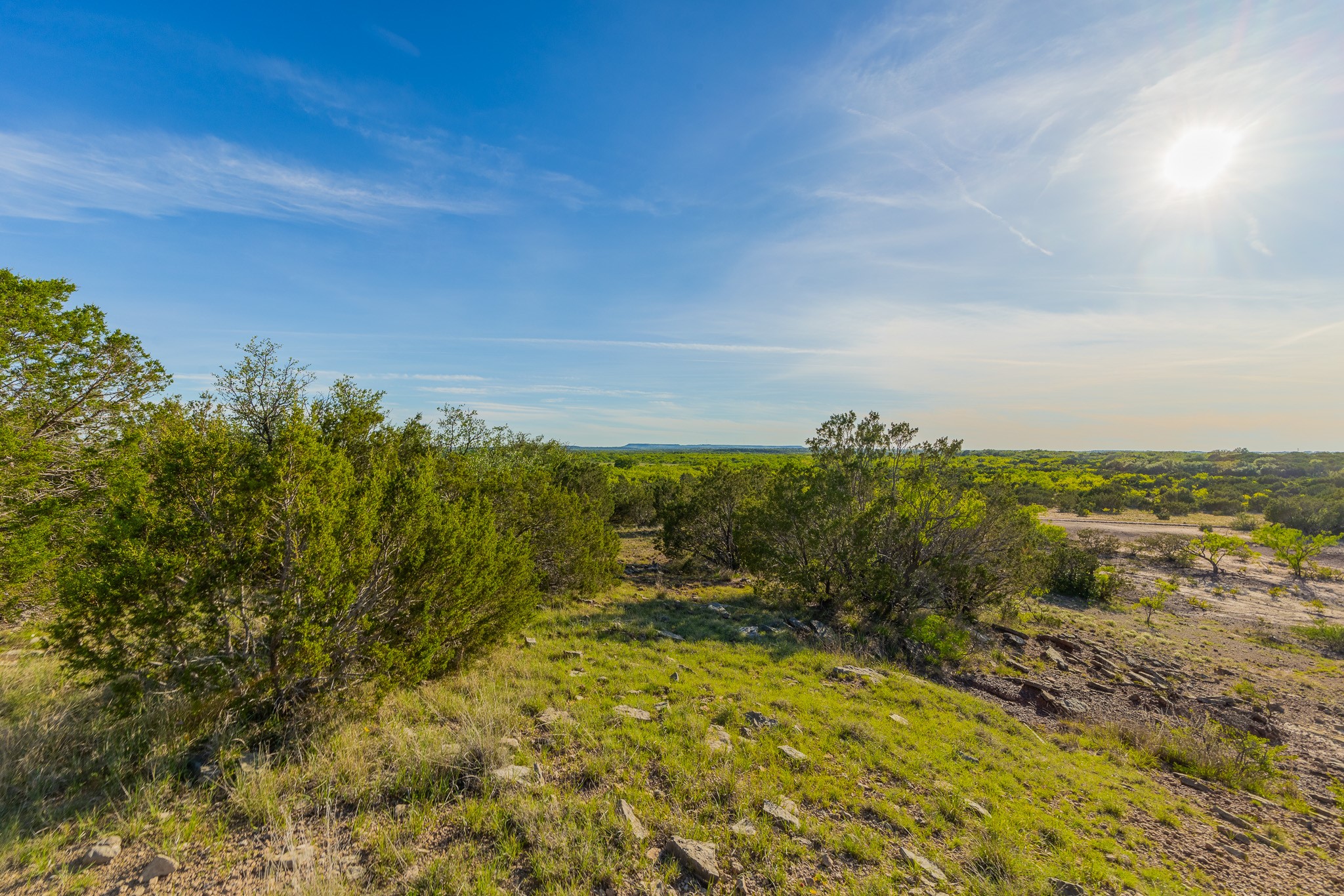 Tbd C.r. 132 Coleman TX 76834