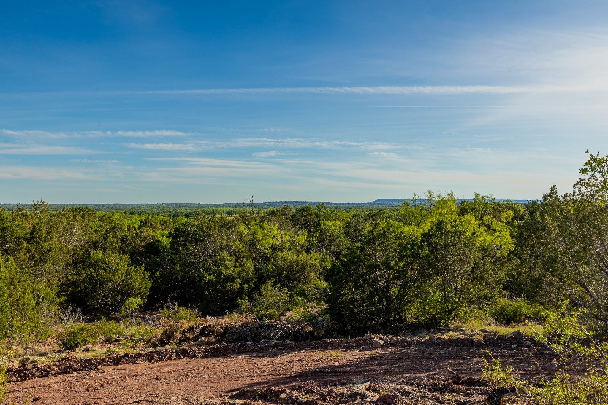Tbd C.r. 132 Coleman TX 76834