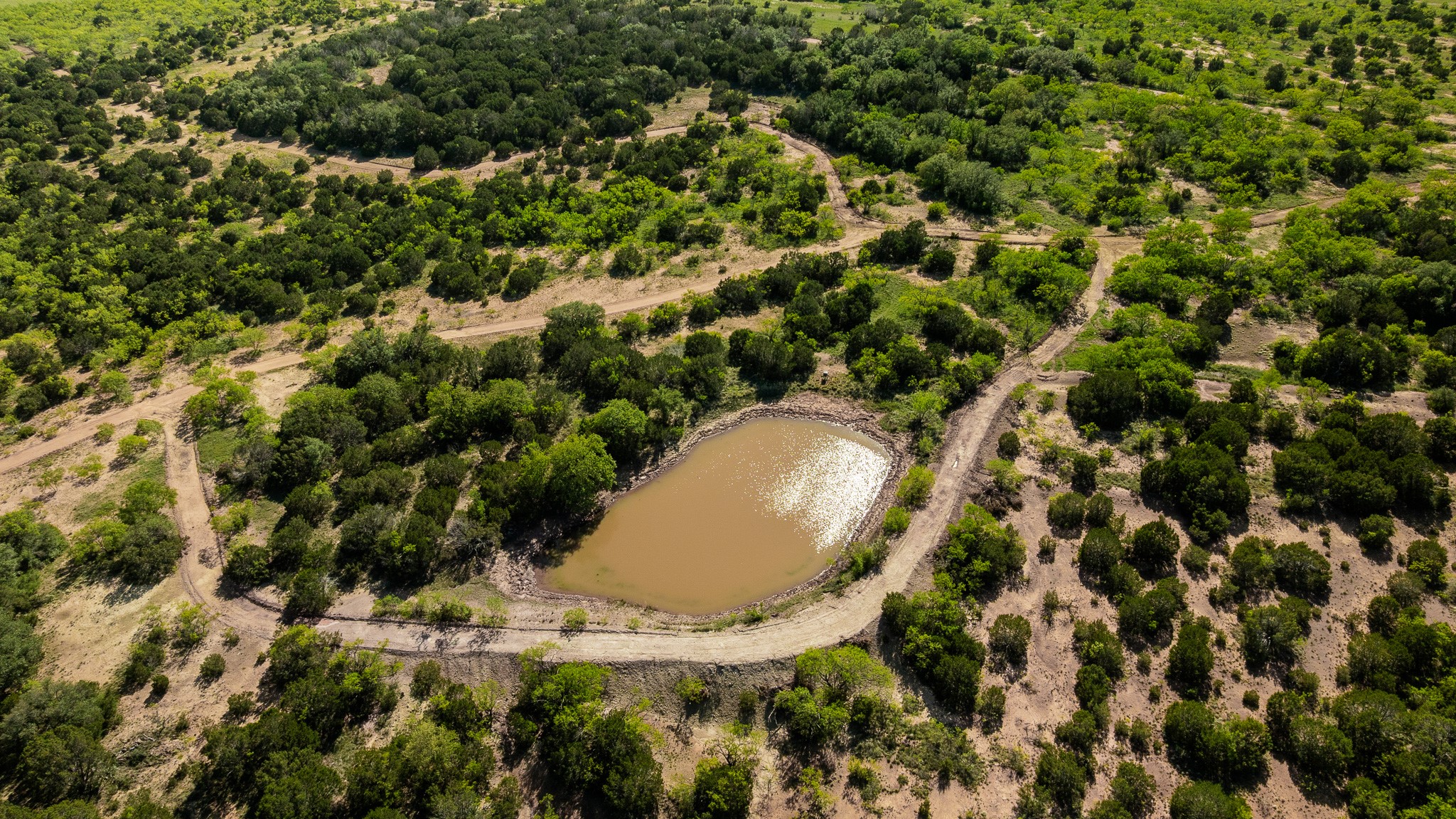 Tbd C.r. 132 Coleman TX 76834