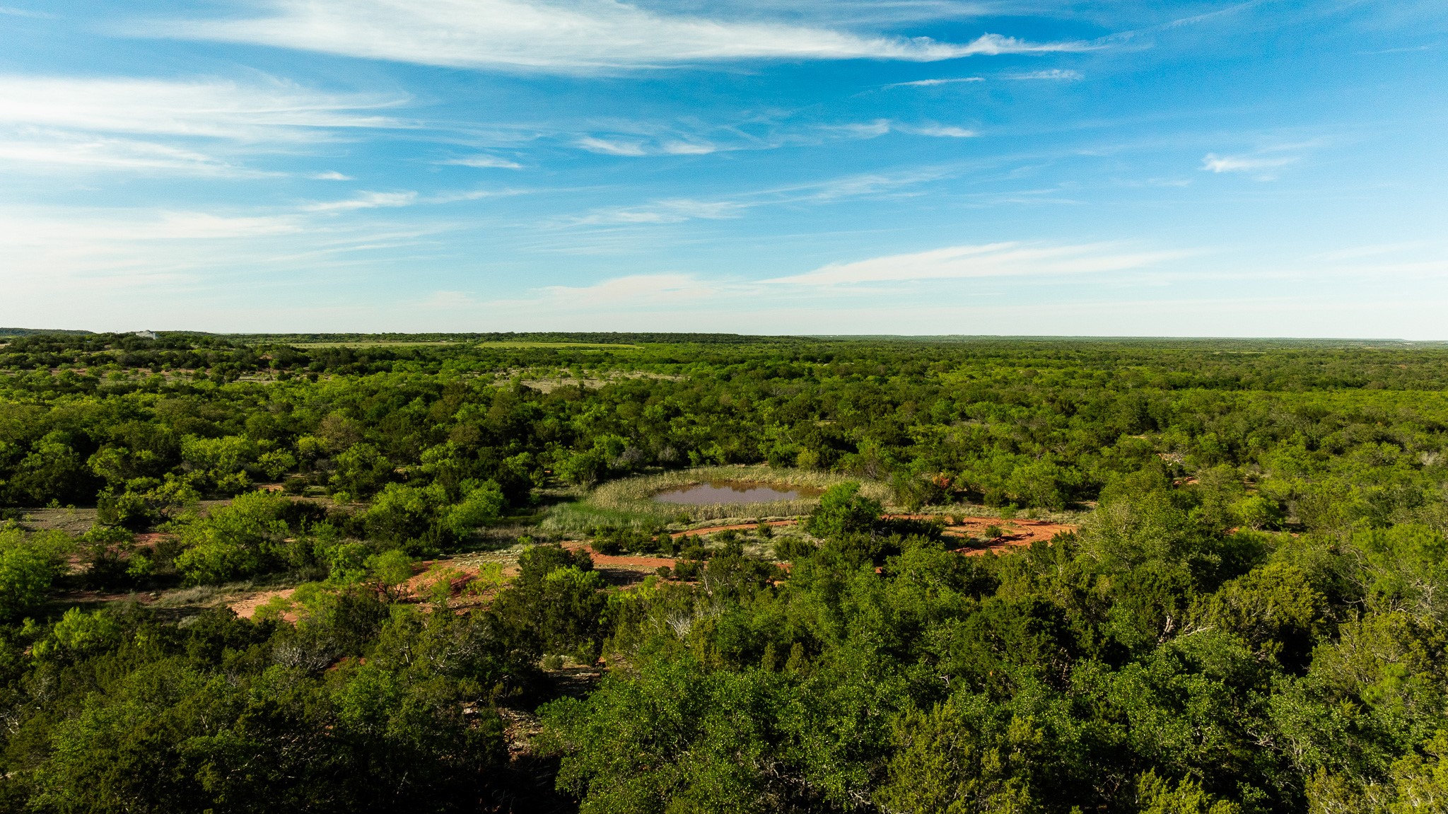 Tbd C.r. 132 Coleman TX 76834