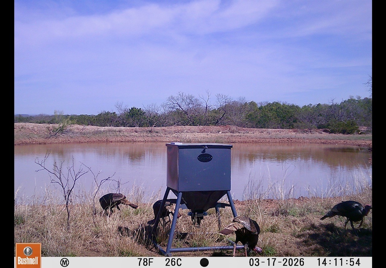Tbd C.r. 132 Coleman TX 76834