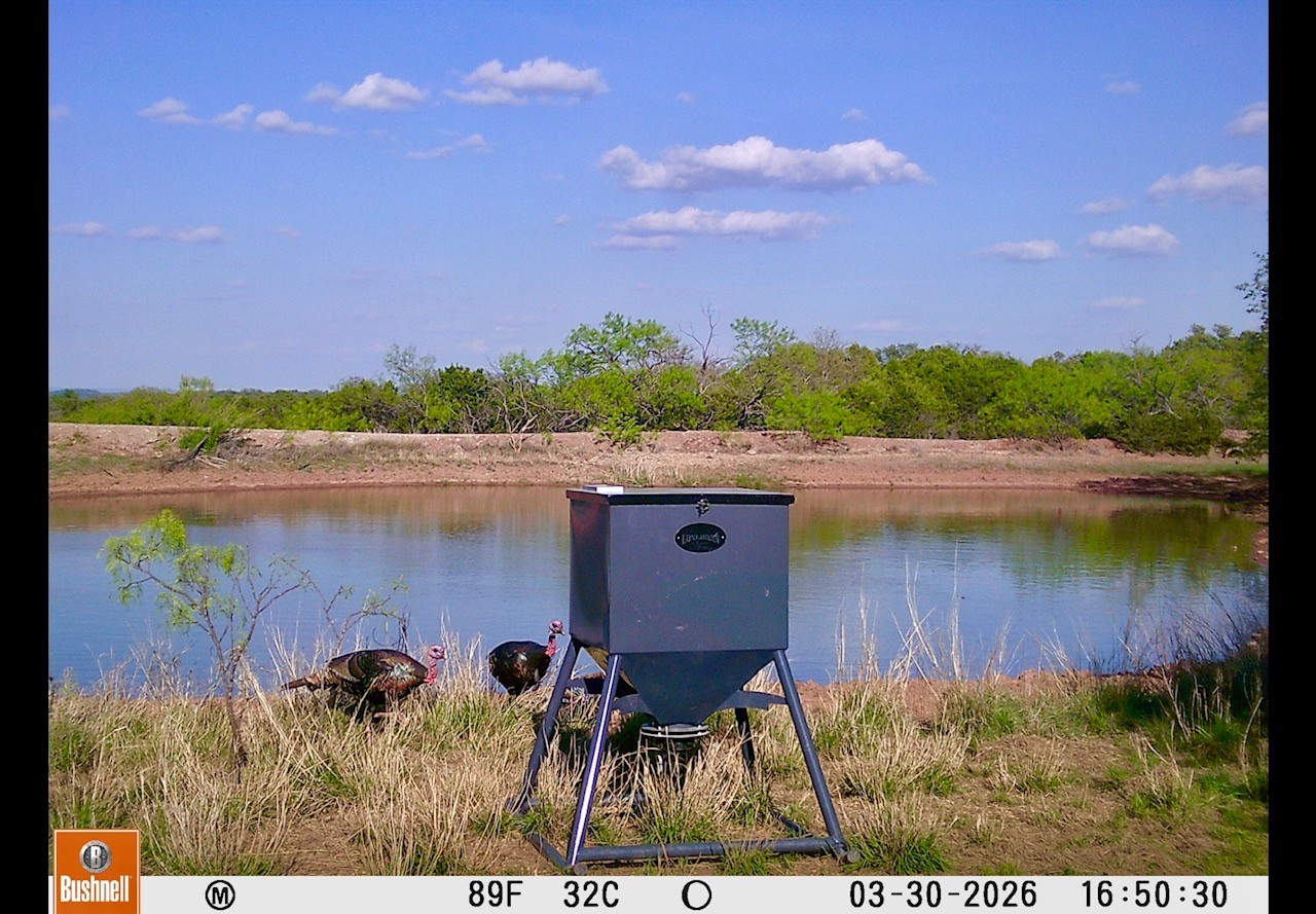 Tbd C.r. 132 Coleman TX 76834