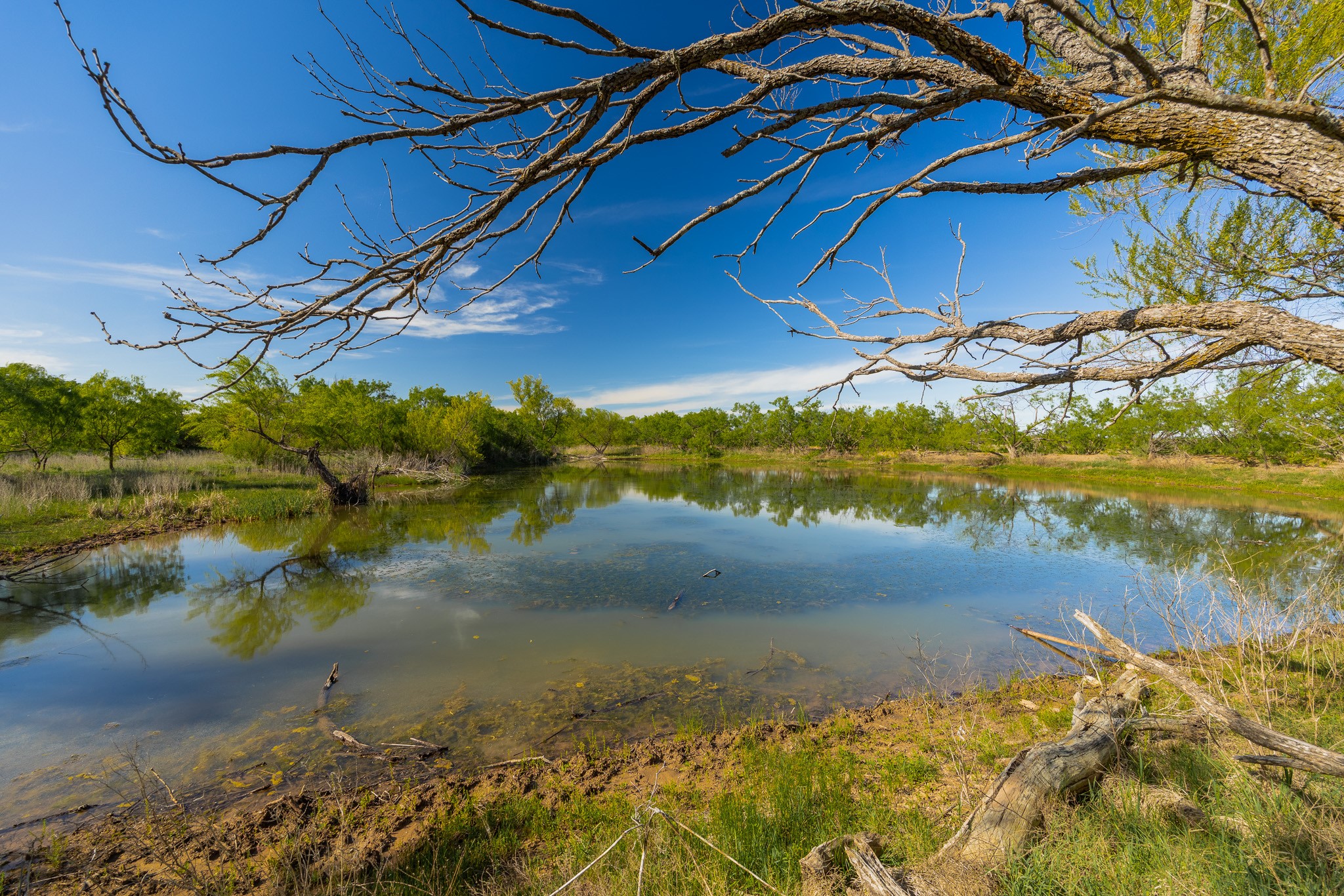 Tbd C.r. 132 Coleman TX 76834
