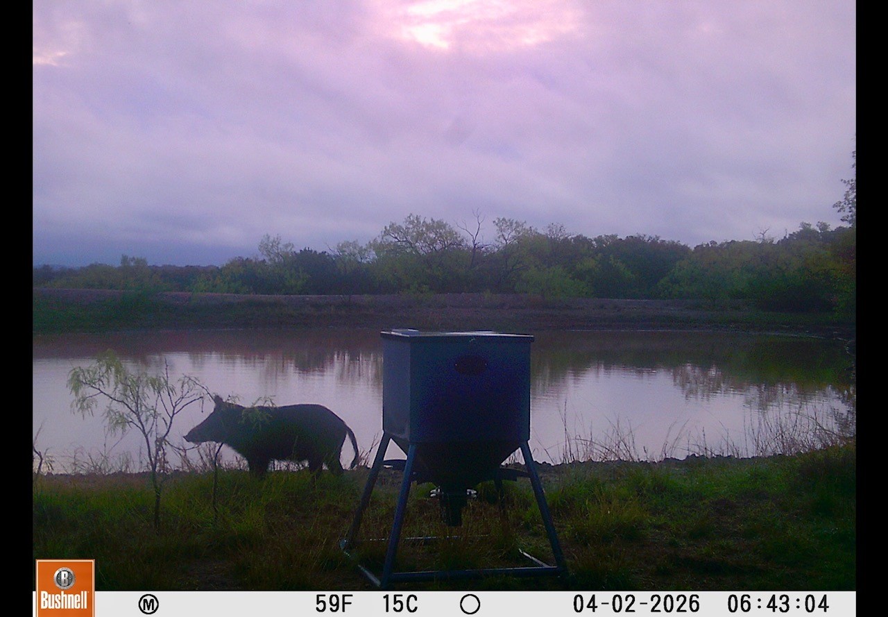 Tbd C.r. 132 Coleman TX 76834