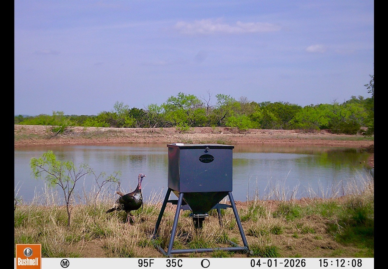 Tbd C.r. 132 Coleman TX 76834