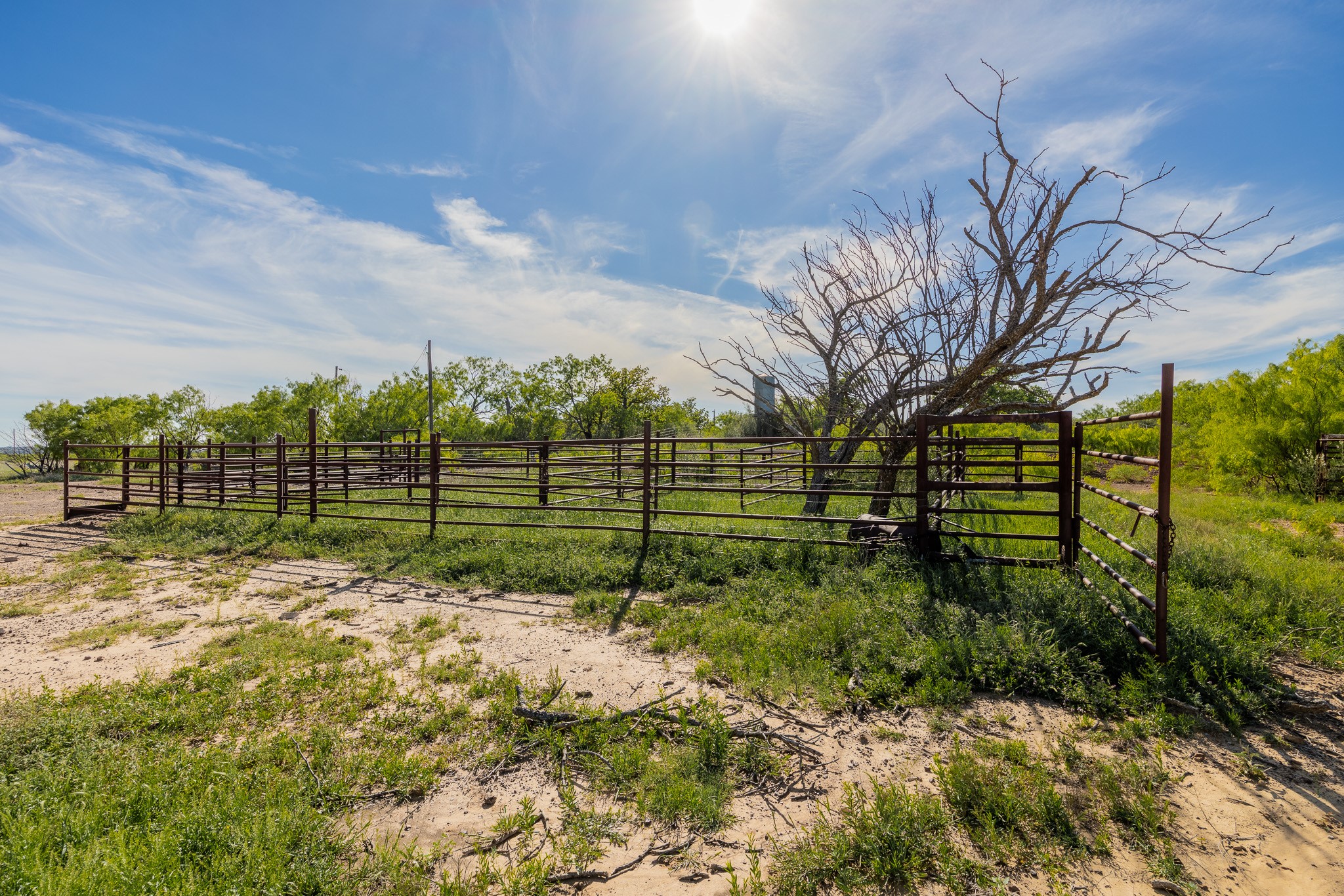 Tbd C.r. 132 Coleman TX 76834