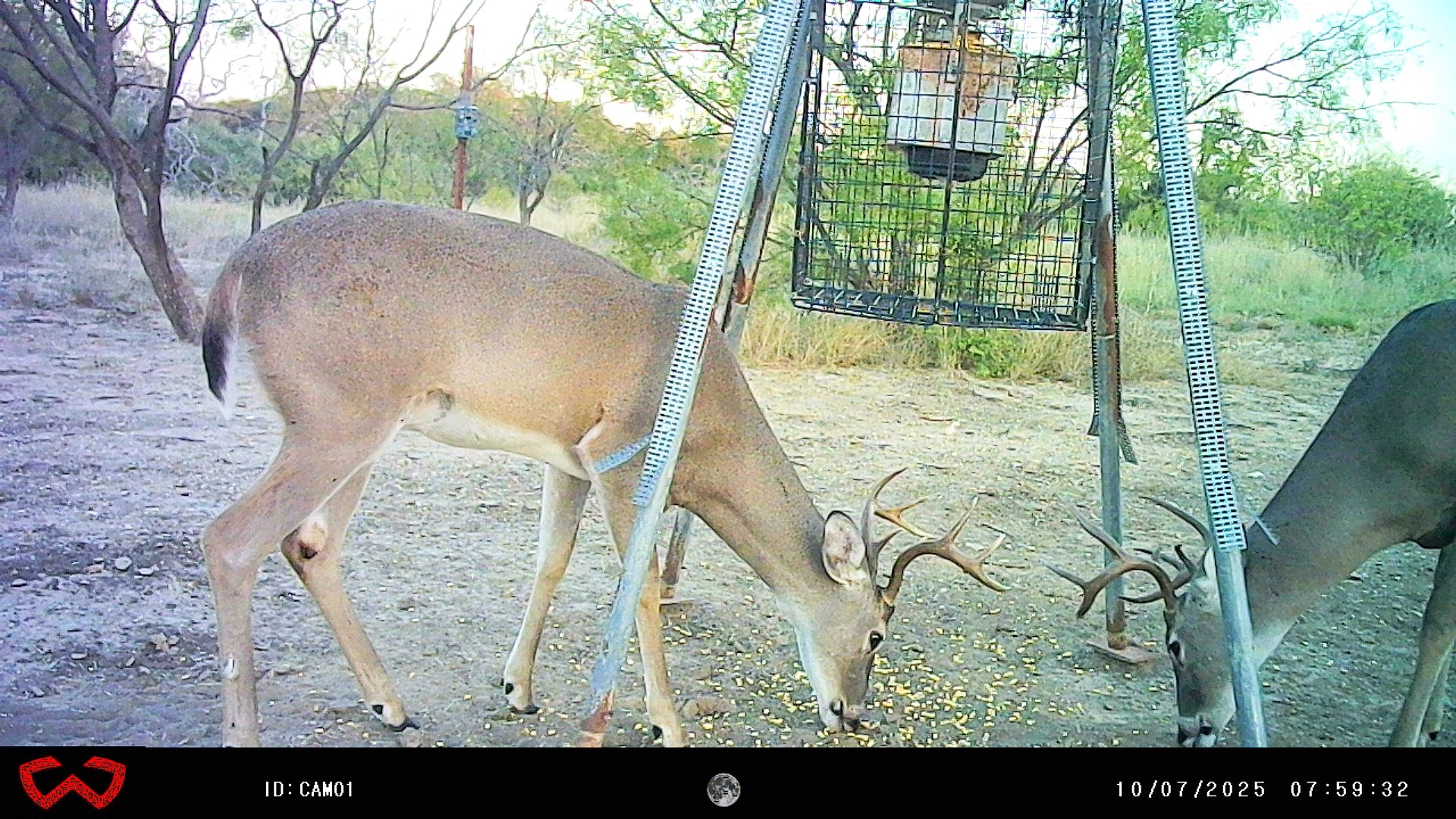 3995 Fm 1176 Brownwood TX 76801