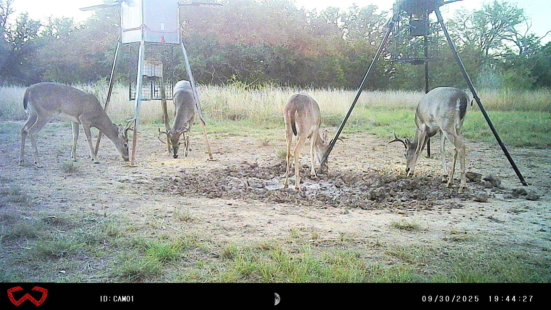 3995 Fm 1176 Brownwood TX 76801