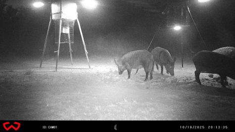 3995 Fm 1176 Brownwood TX 76801