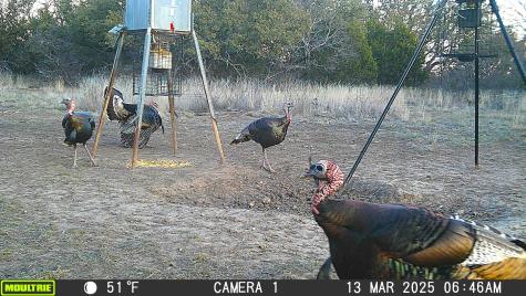 3995 Fm 1176 Brownwood TX 76801