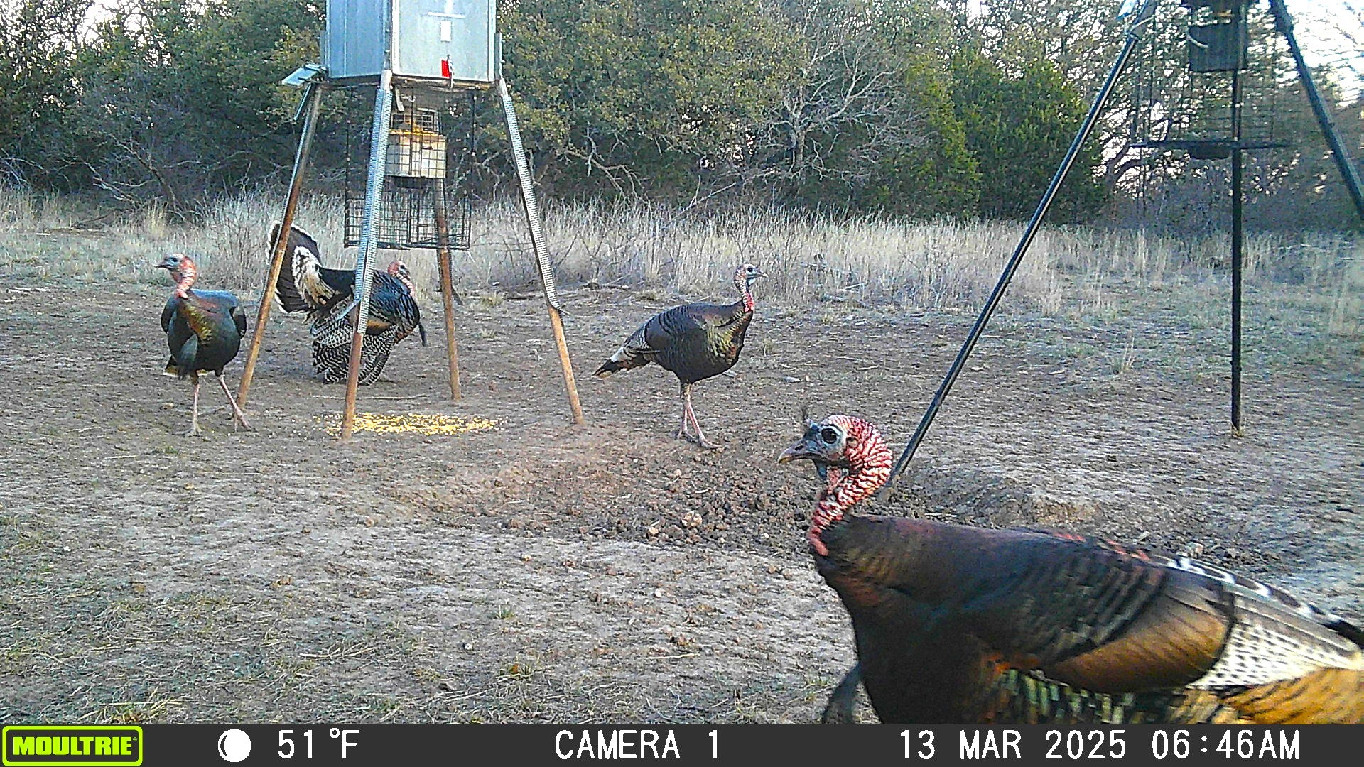 3995 Fm 1176 Brownwood TX 76801