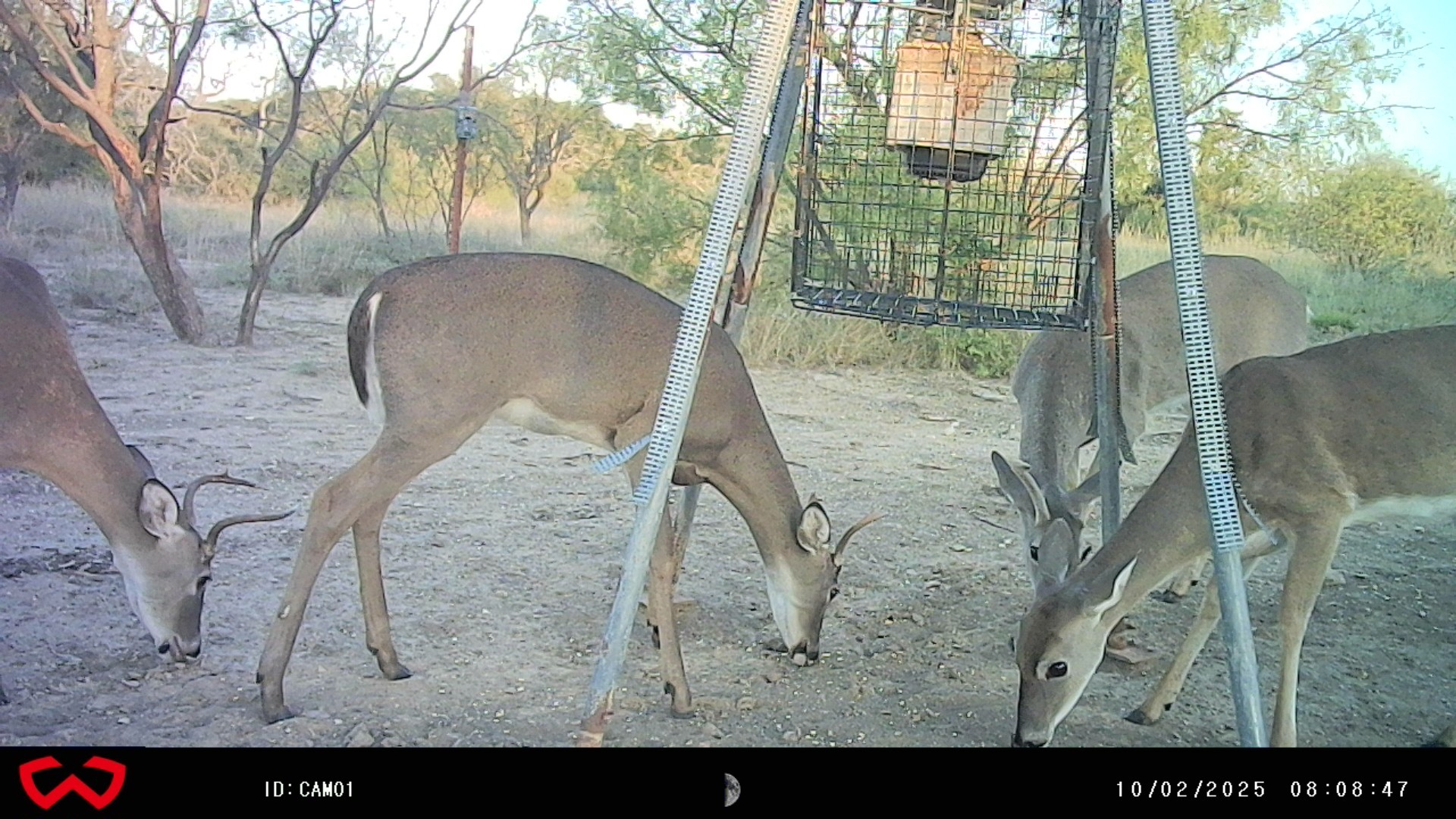 3995 Fm 1176 Brownwood TX 76801