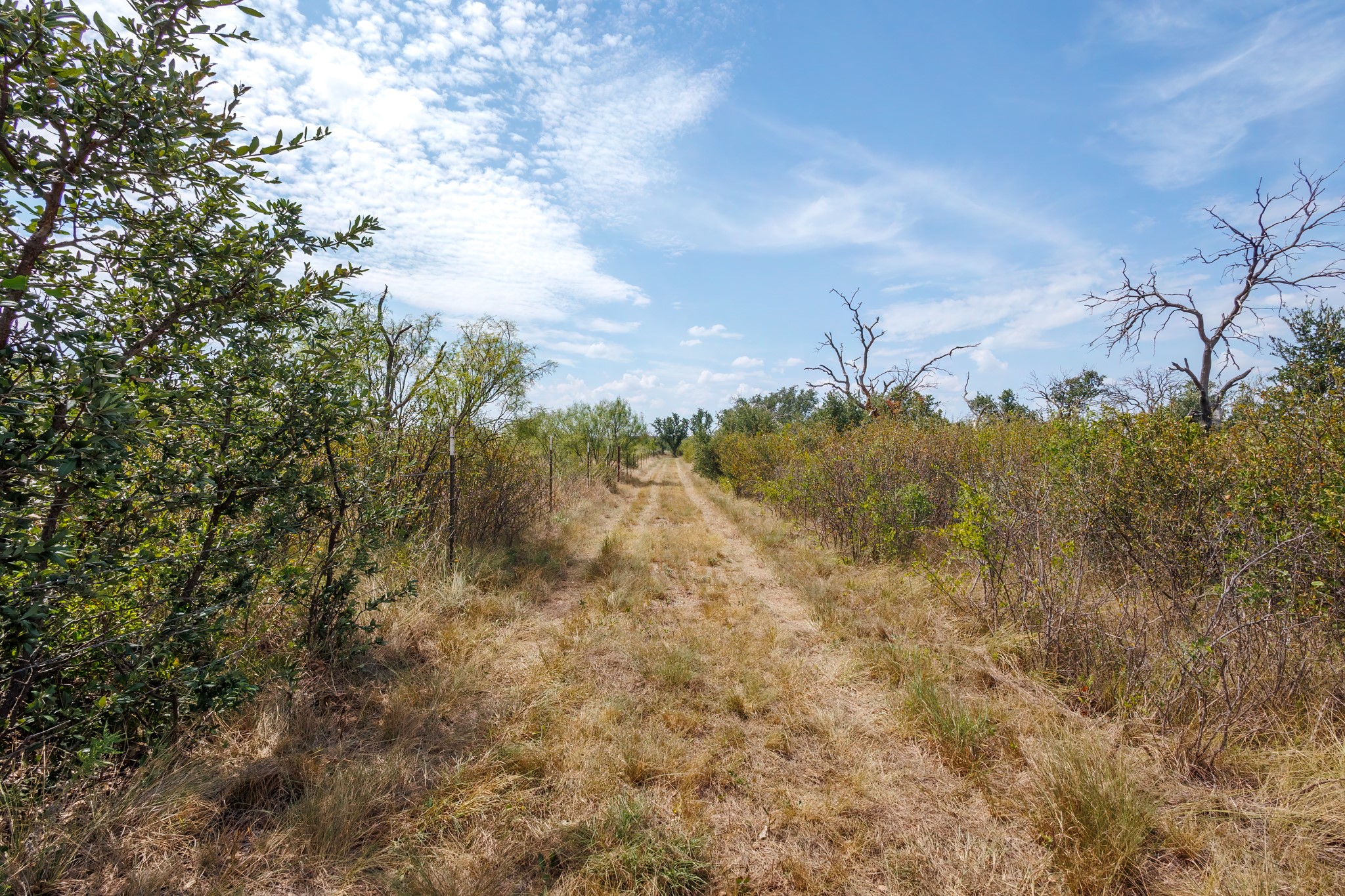 3995 Fm 1176 Brownwood TX 76801