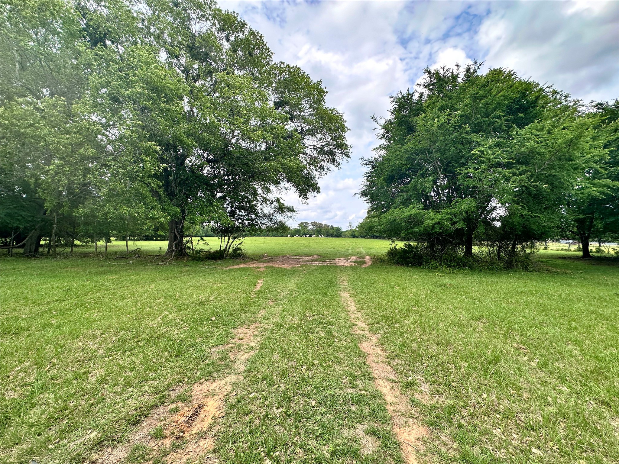 0 Us Highway 175 Frankston TX 75763