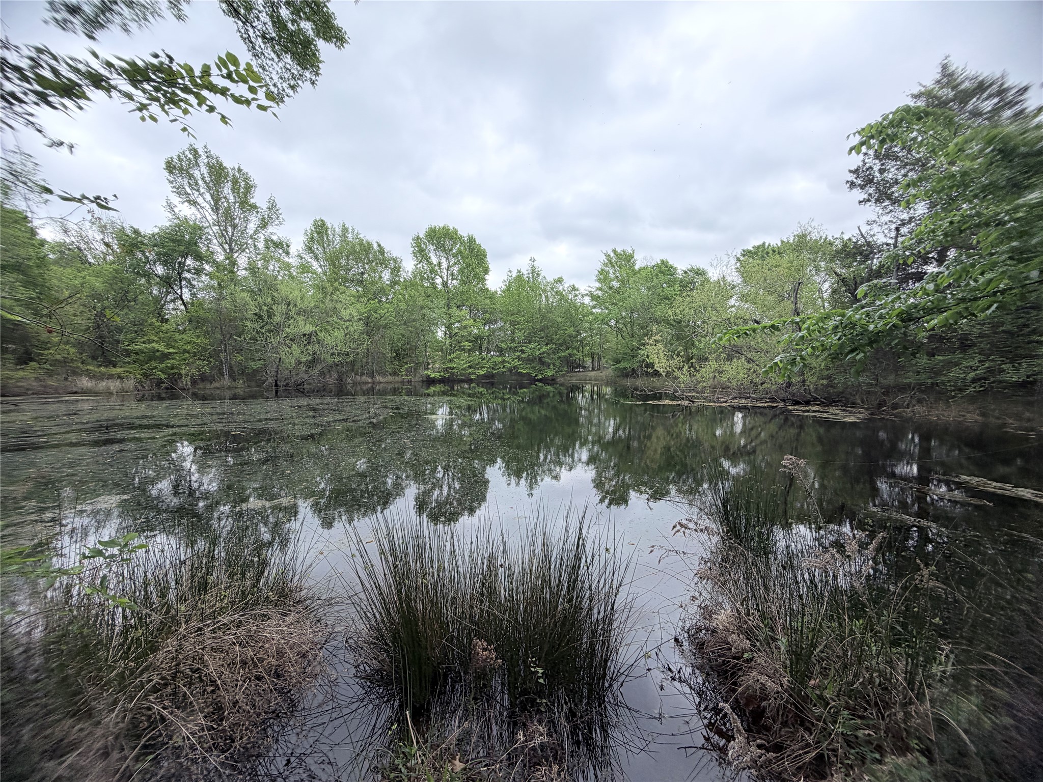 Tbd Vzcr 3108 Edgewood TX 75117