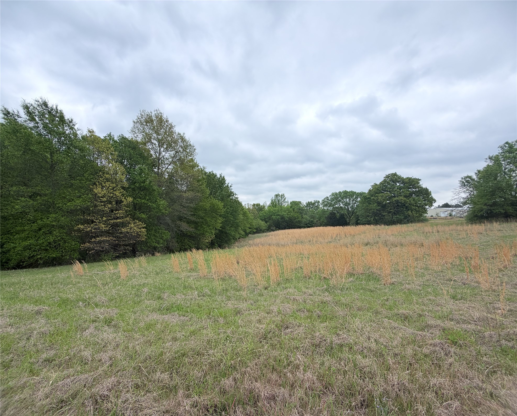 Tbd Vzcr 3108 Edgewood TX 75117