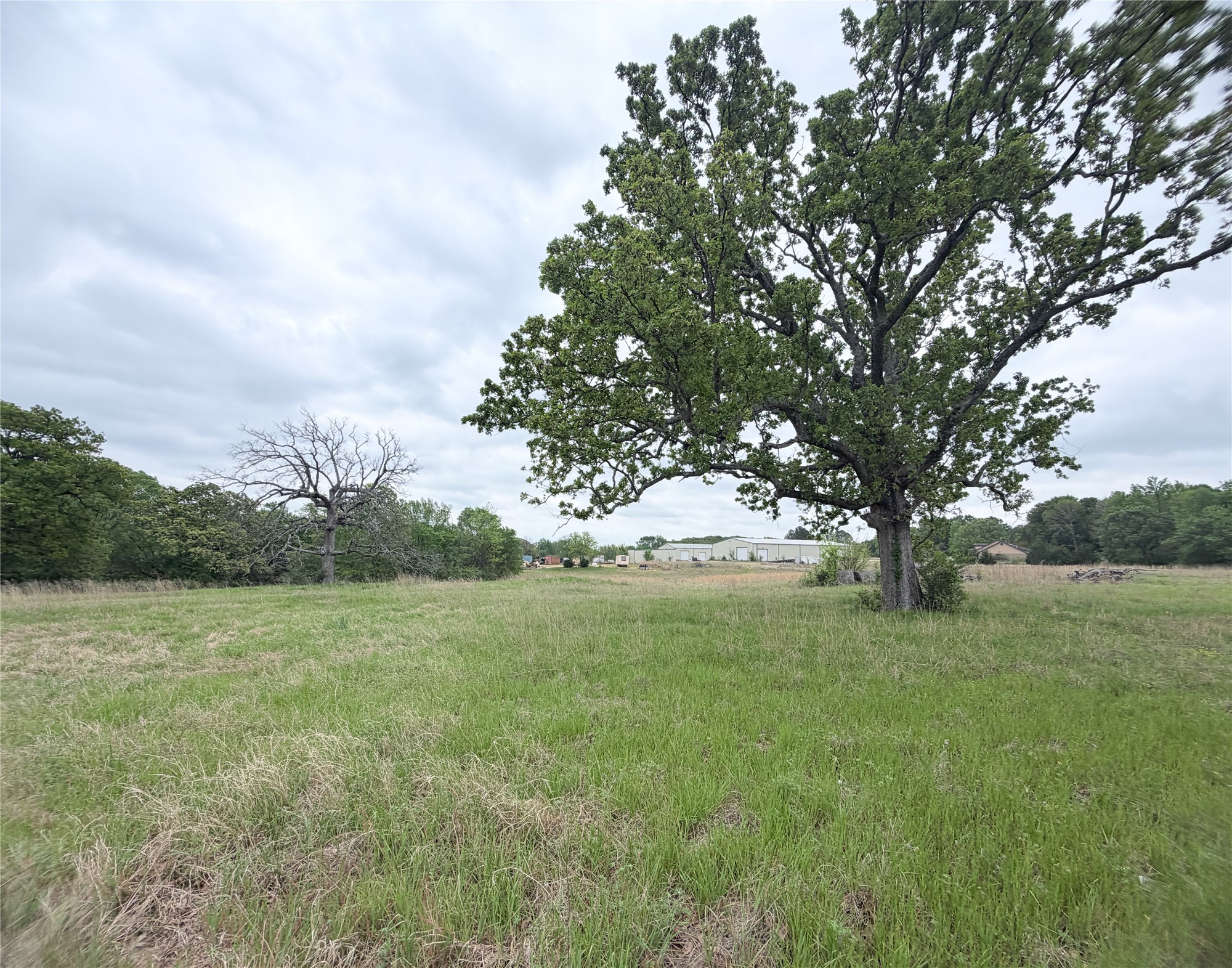 Tbd Vzcr 3108 Edgewood TX 75117