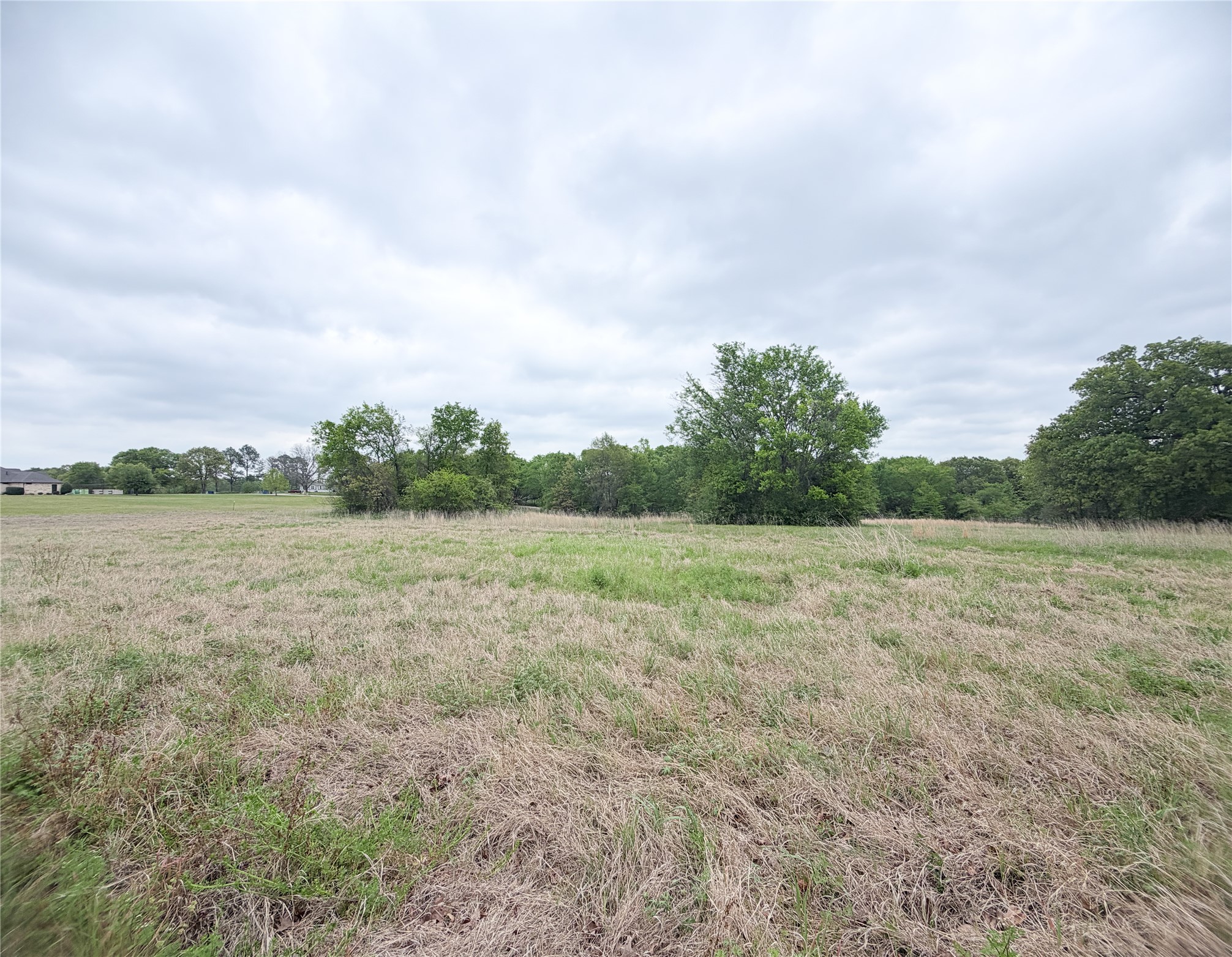 Tbd Vzcr 3108 Edgewood TX 75117