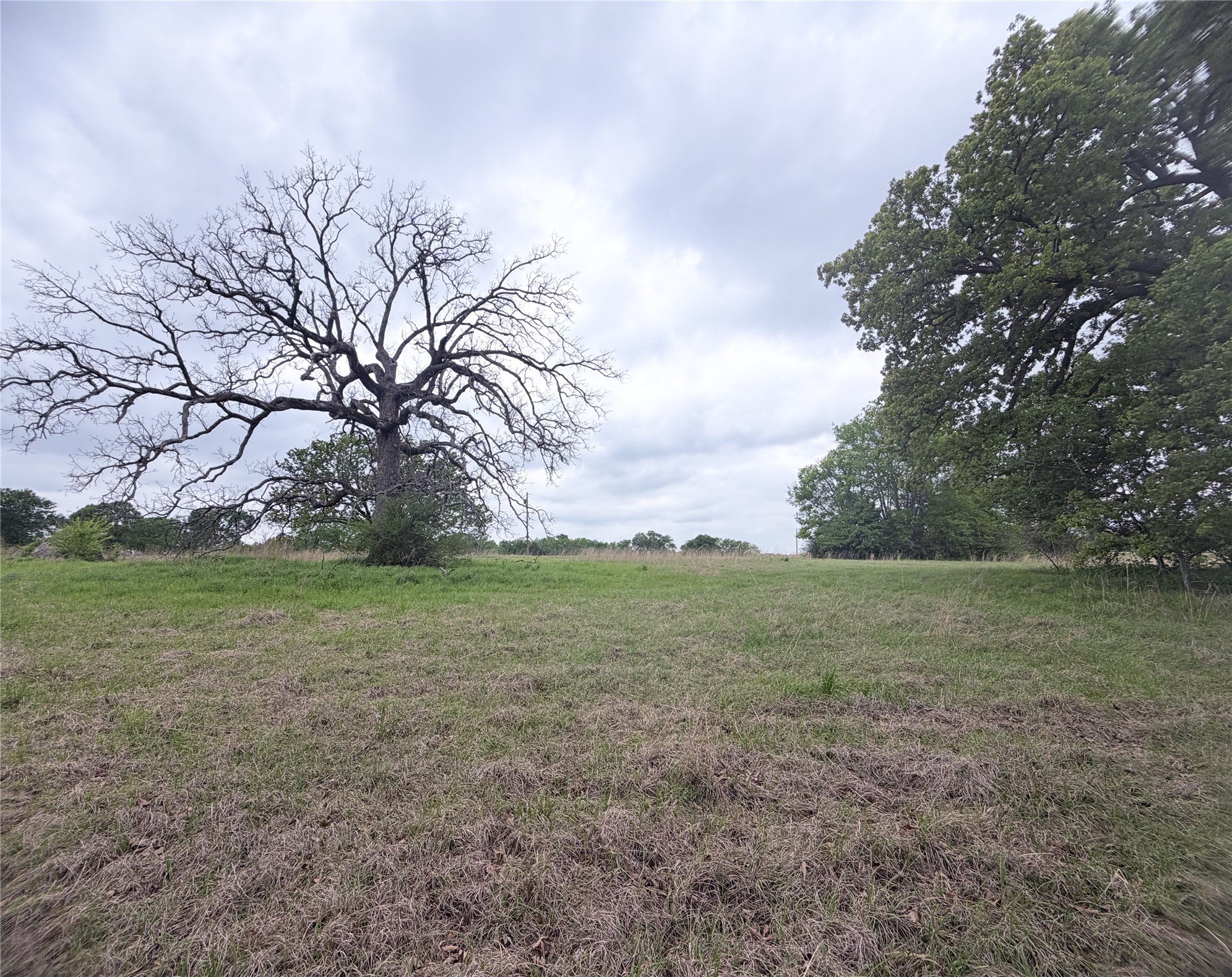 Tbd Vzcr 3108 Edgewood TX 75117