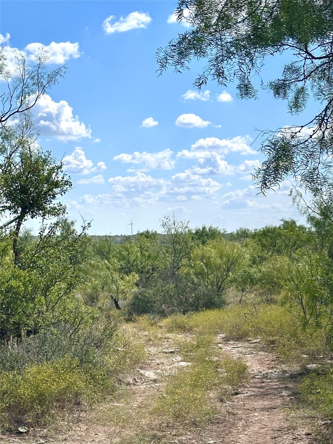 Tbd Tba Cnty Road 100 Abilene TX 79601