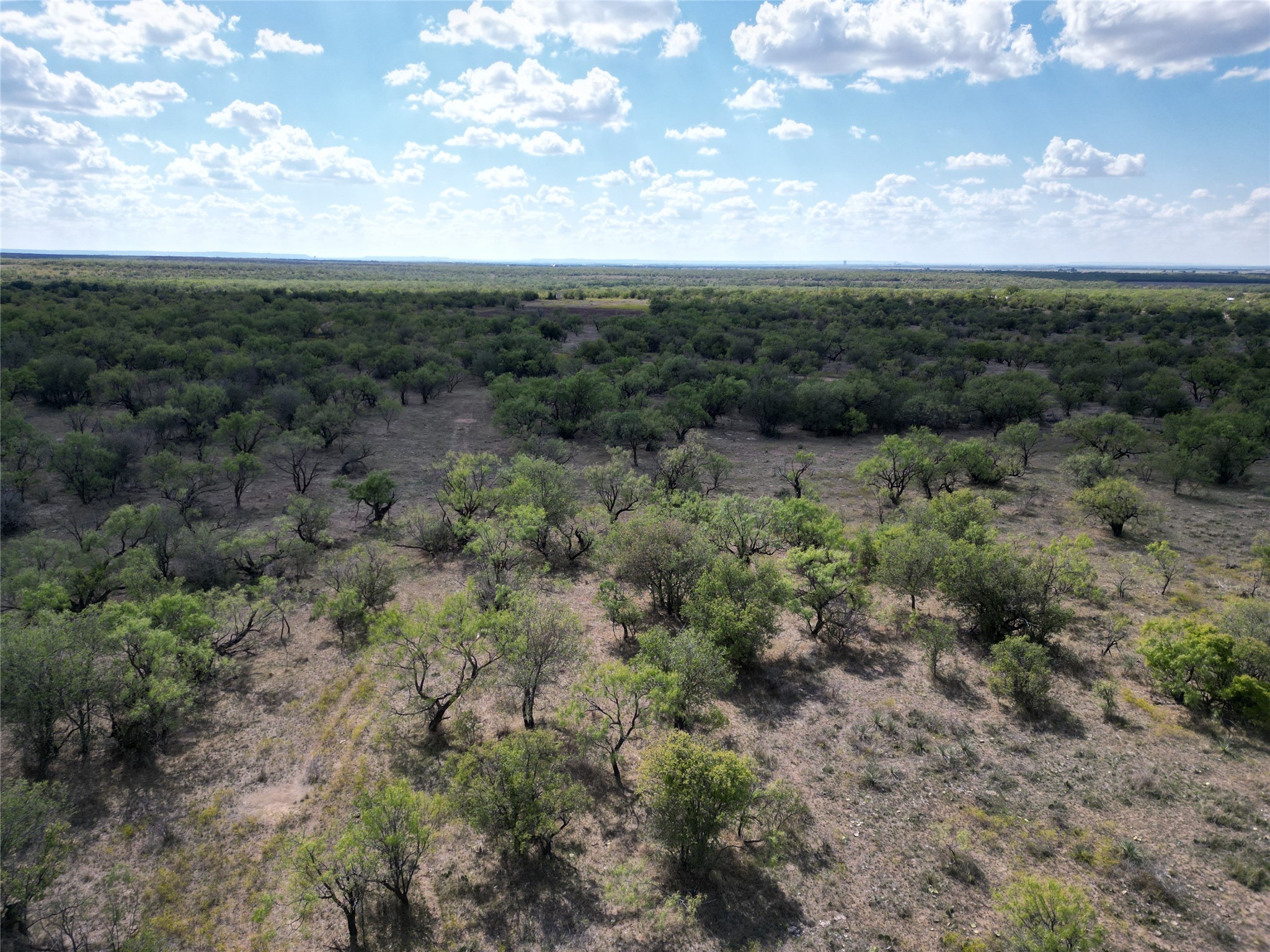 Tbd Tba Cnty Road 100 Abilene TX 79601