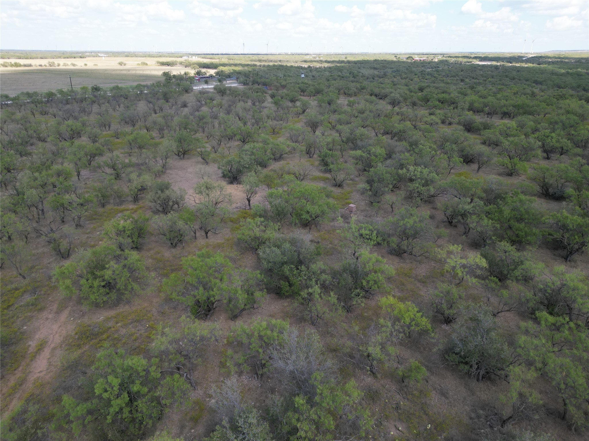 Tbd Tba Cnty Road 100 Abilene TX 79601