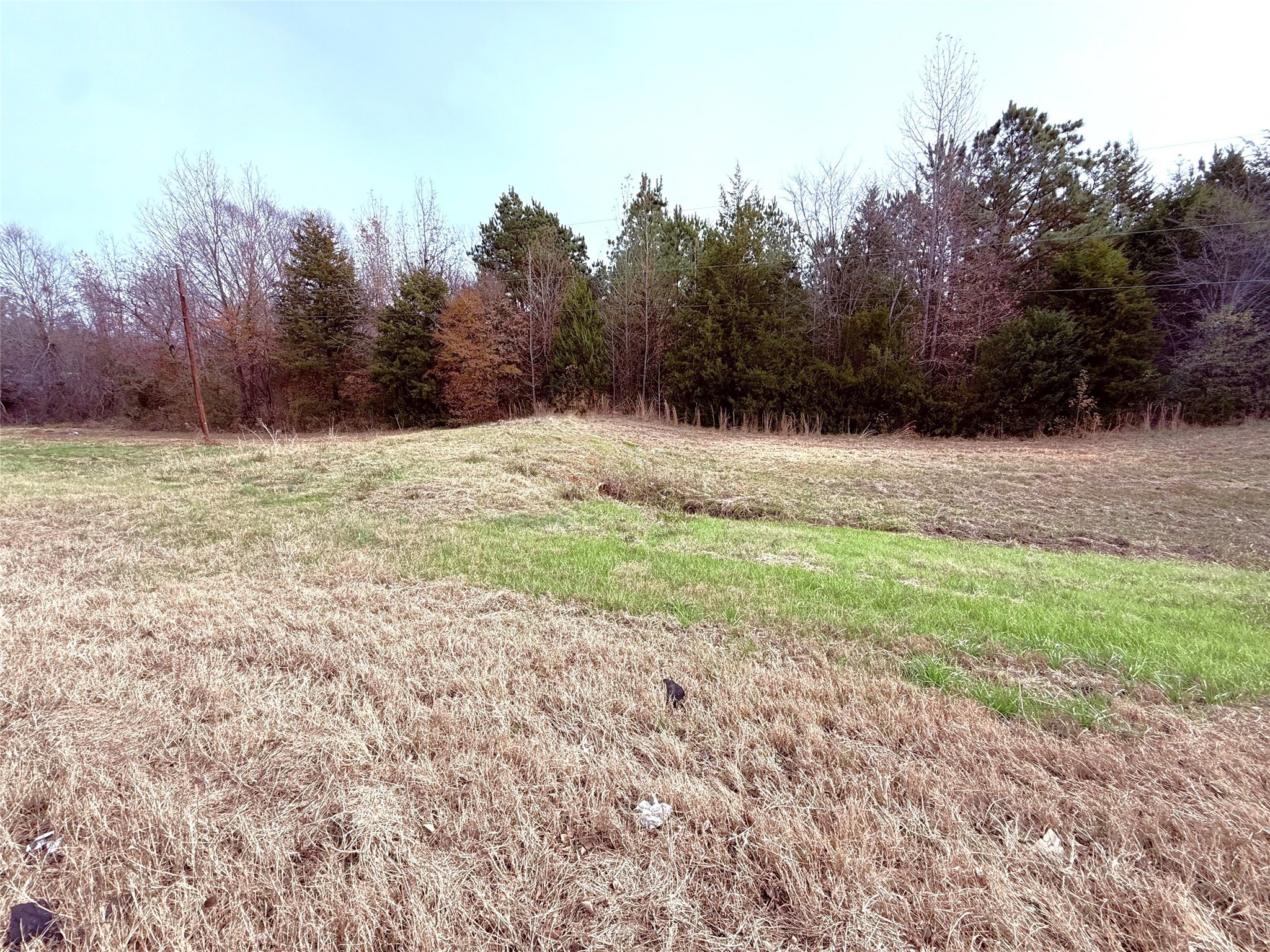 000 Highway 37 Winnsboro TX 75494