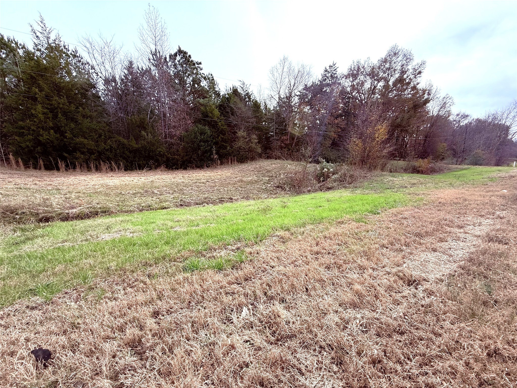 000 Highway 37 Winnsboro TX 75494