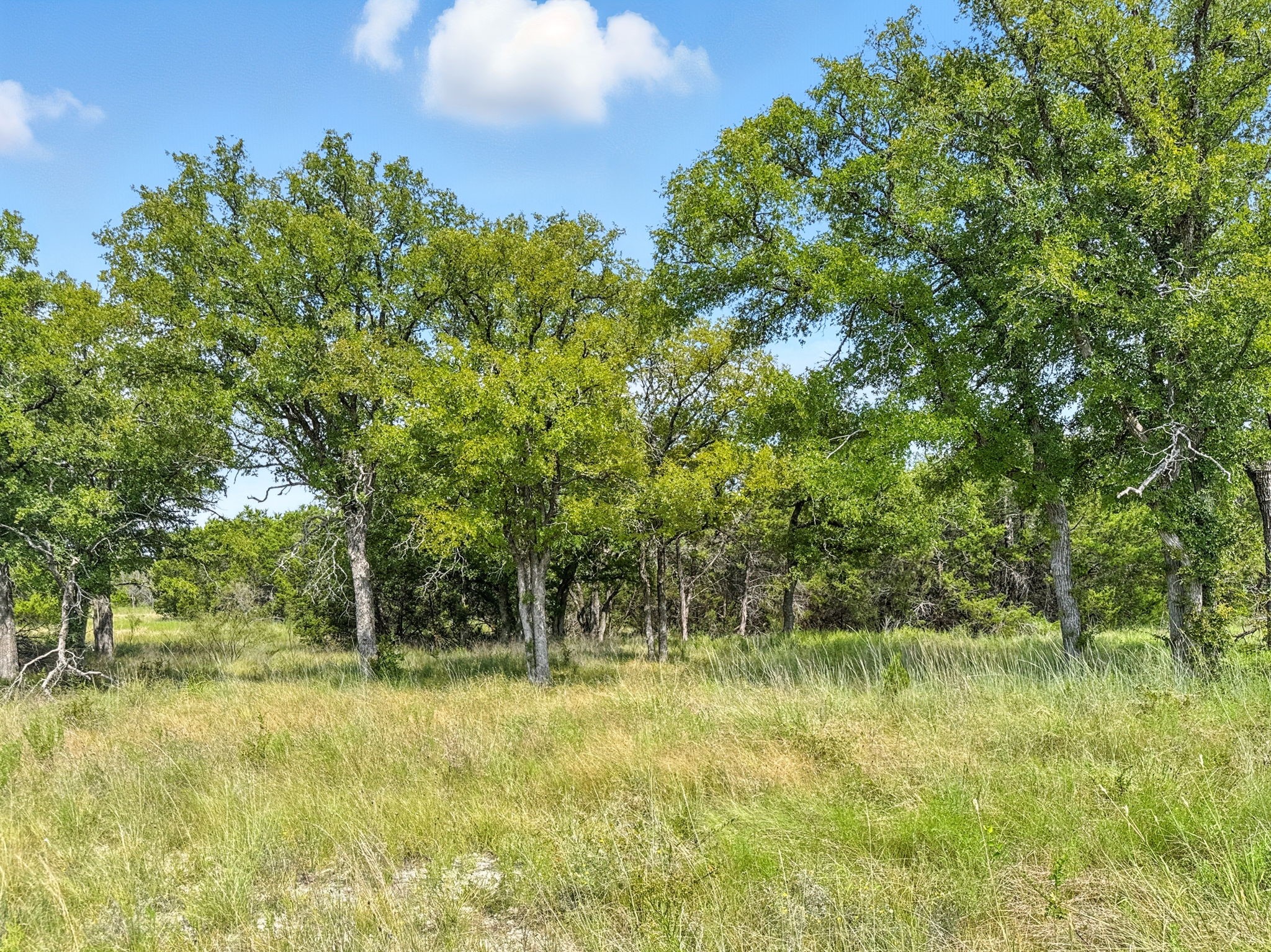 Lot 39 Ph 6 Private Road 42103 Evant TX 76525