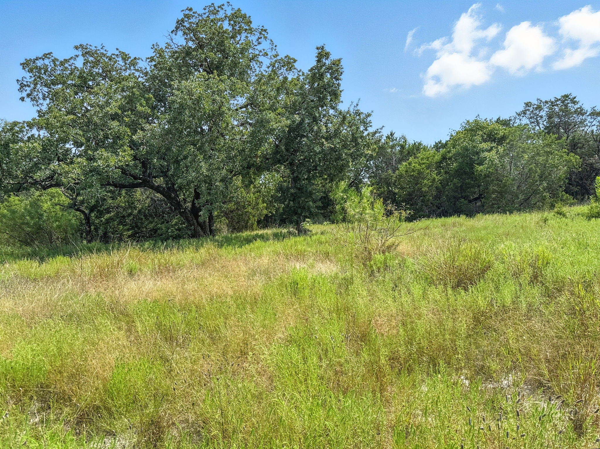 Lot 39 Ph 6 Private Road 42103 Evant TX 76525