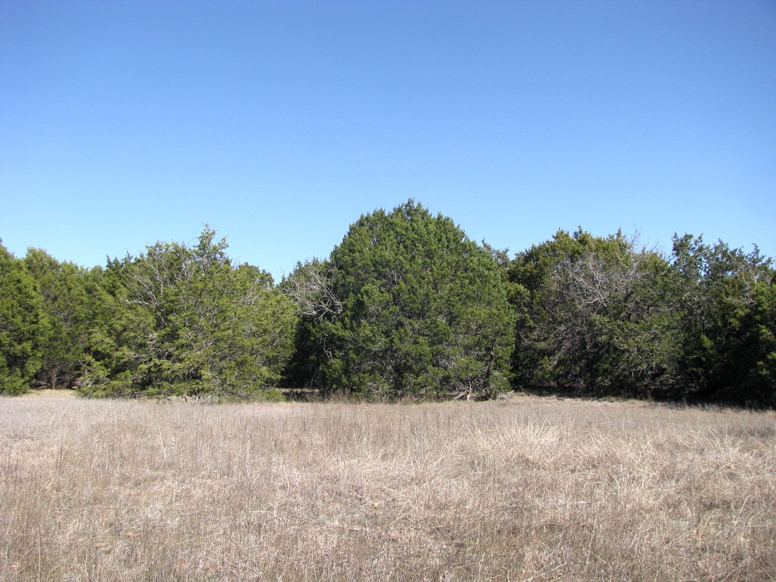 Lot 39 Ph 6 Private Road 42103 Evant TX 76525